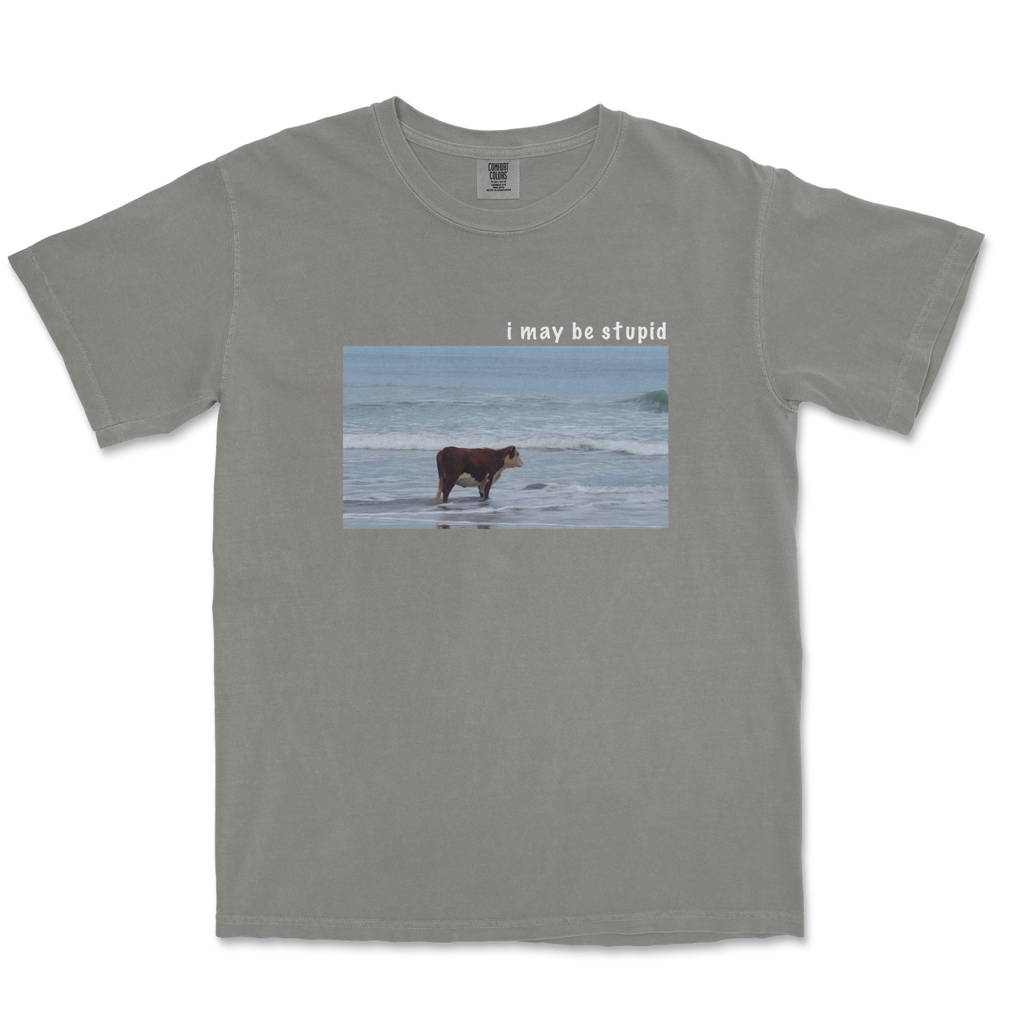 Comfort Colors T-Shirt Stupid in Grey
