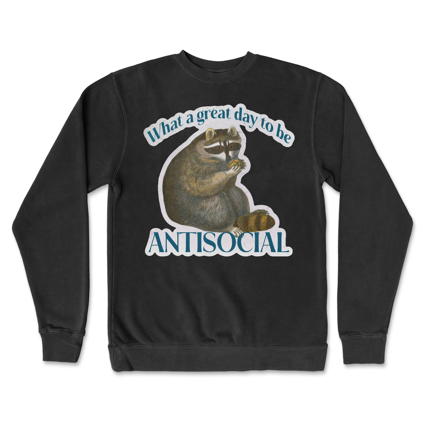 Independent Clothing Co. Crew Neck Antisocial in Black