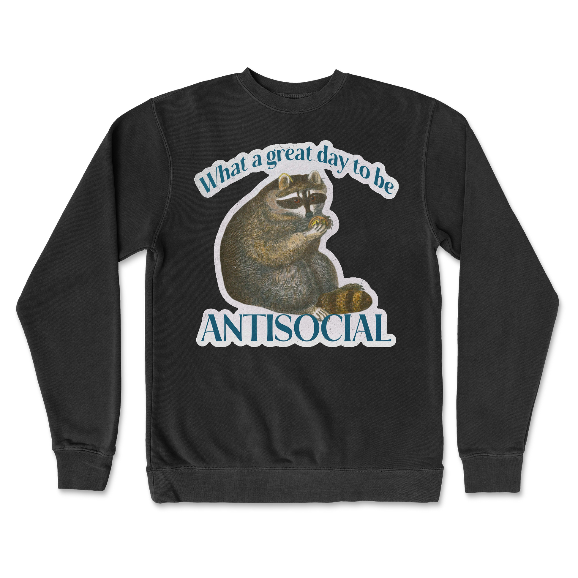 Independent Clothing Co. Crew Neck Antisocial in Black