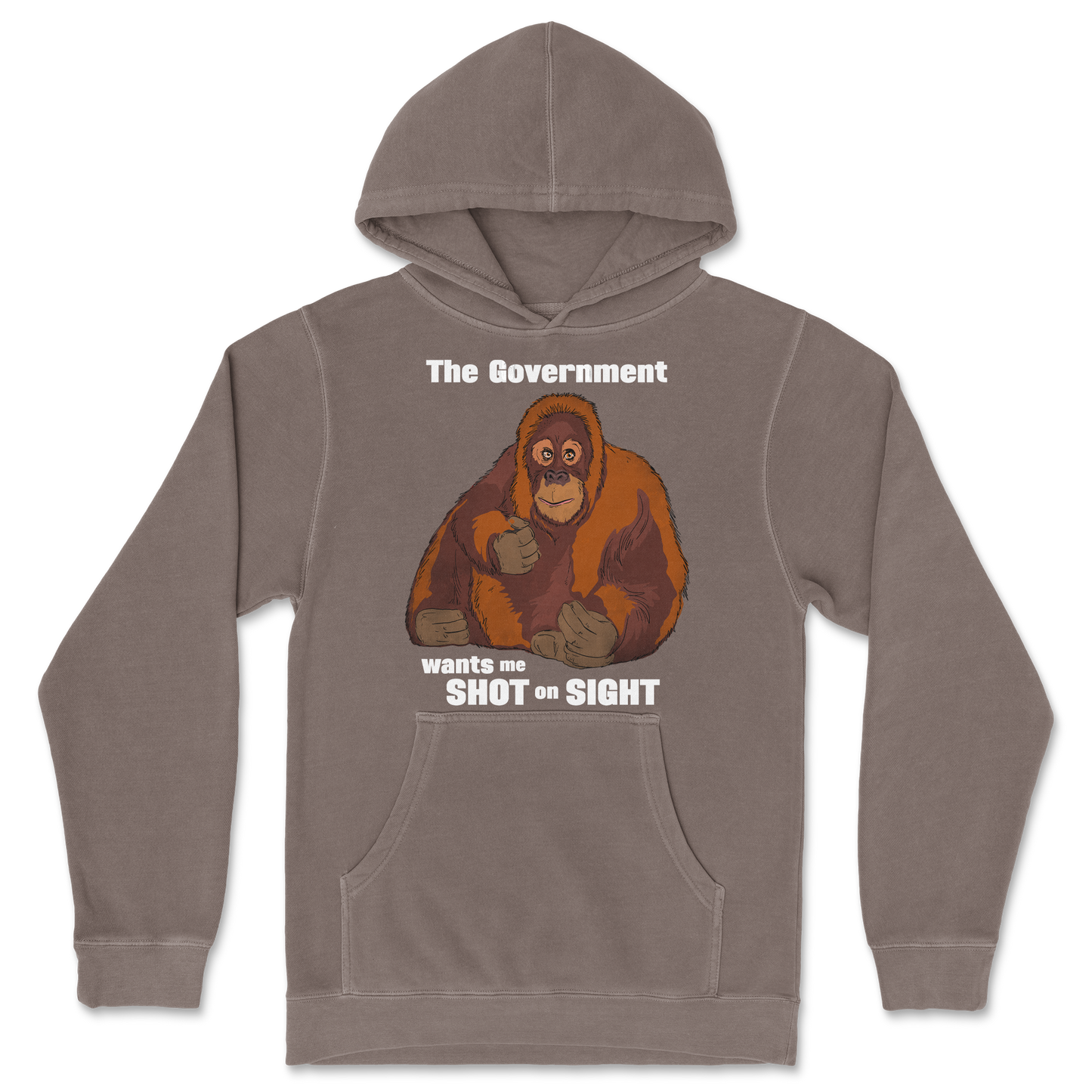 Independent Clothing Co. Hoodie The Government Hates Me in Clay