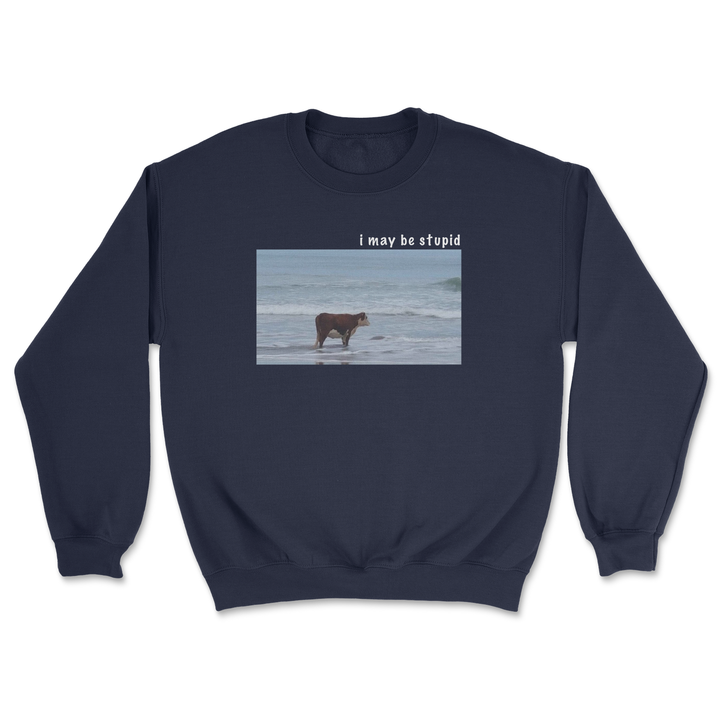 Heavy Blend Crew Neck Stupid in Navy