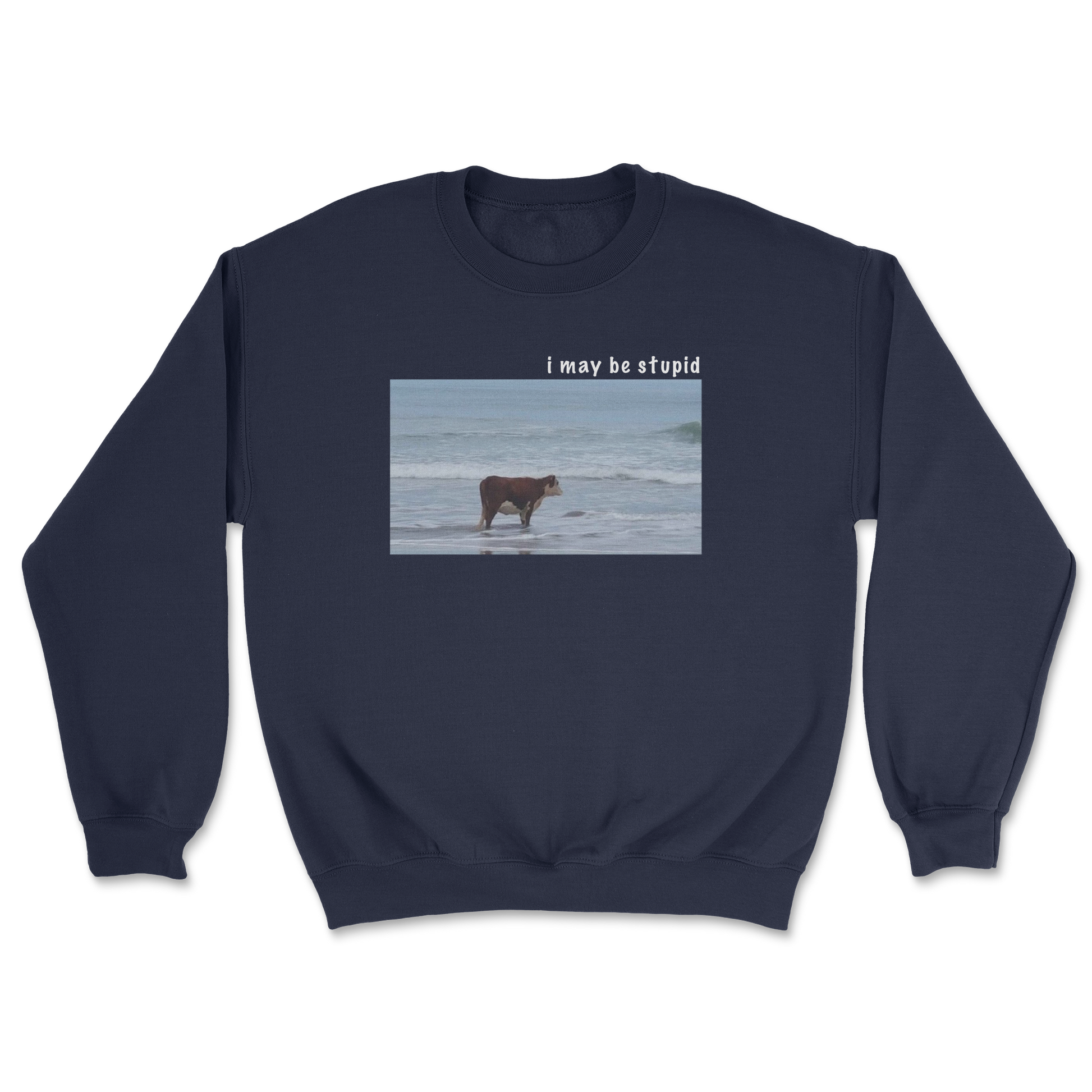 Heavy Blend Crew Neck Stupid in Navy