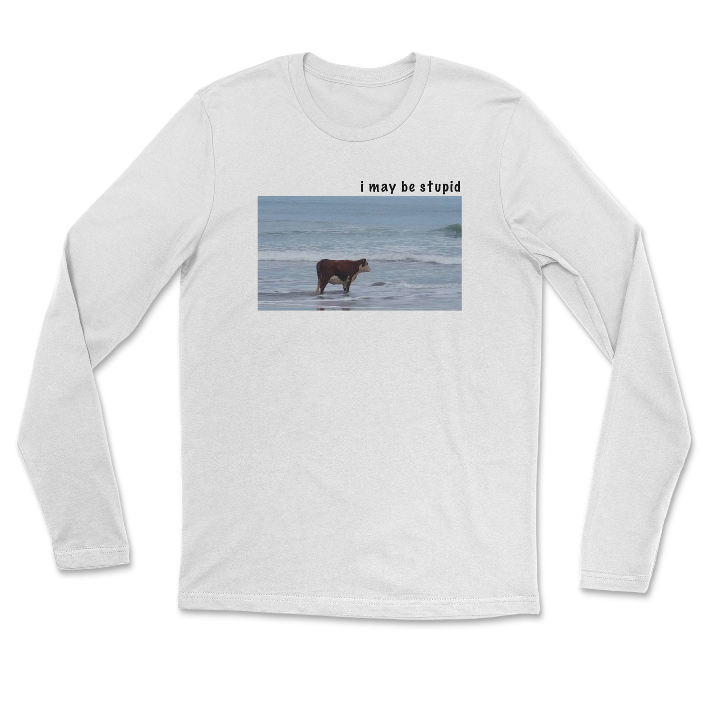 Heavy Blend Long Sleeve Stupid in White