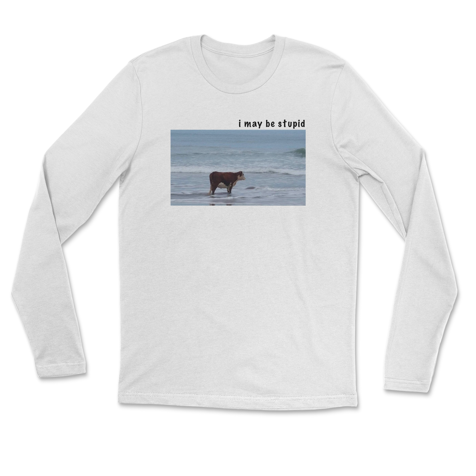 Heavy Blend Long Sleeve Stupid in White