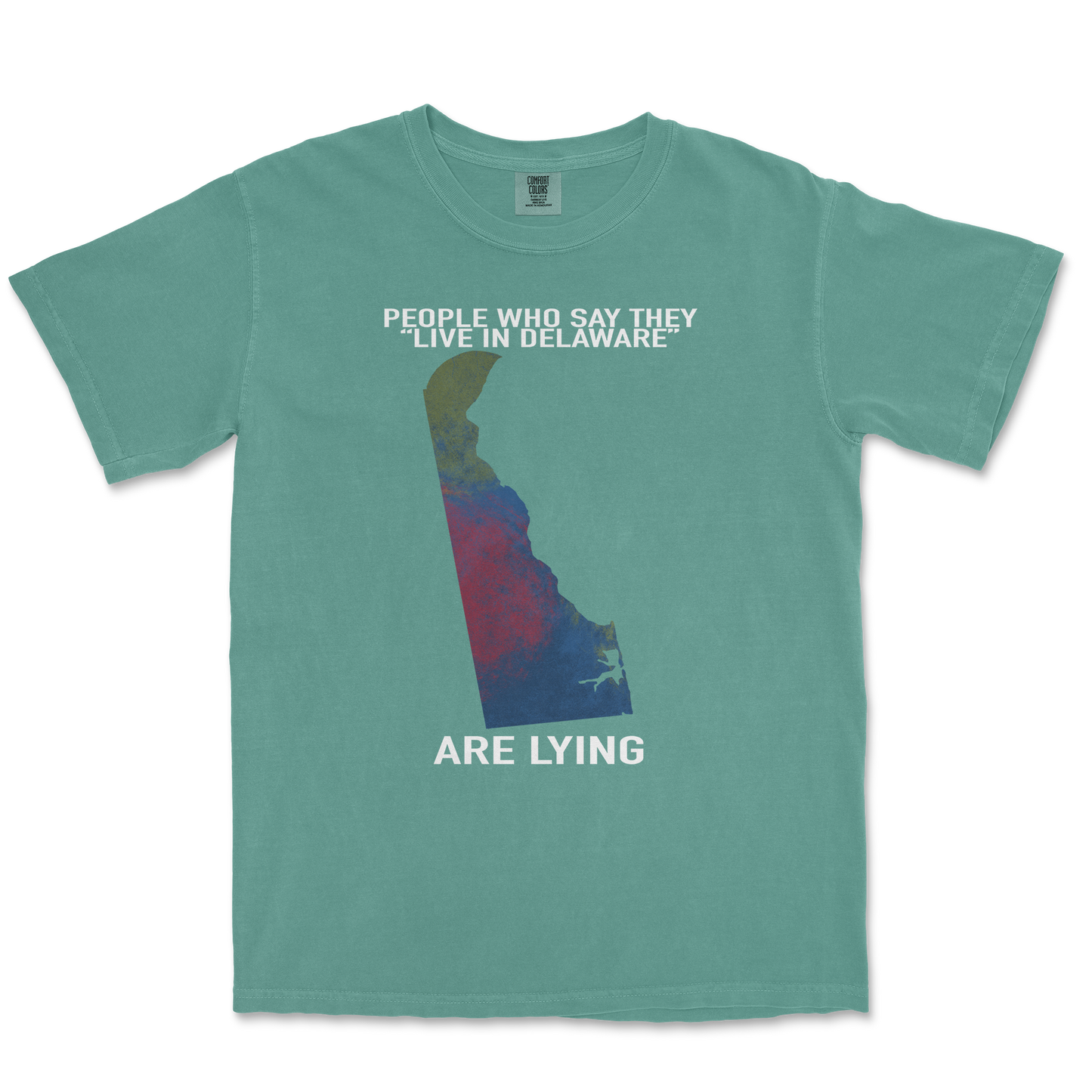 Comfort Colors T-Shirt Delaware Doesnt Exist in LightGreen