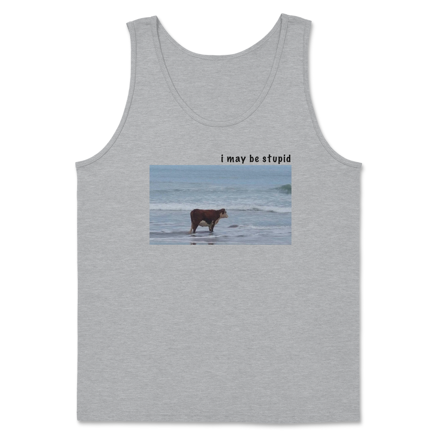 Heavy Blend Tank Top Stupid in Sports Grey