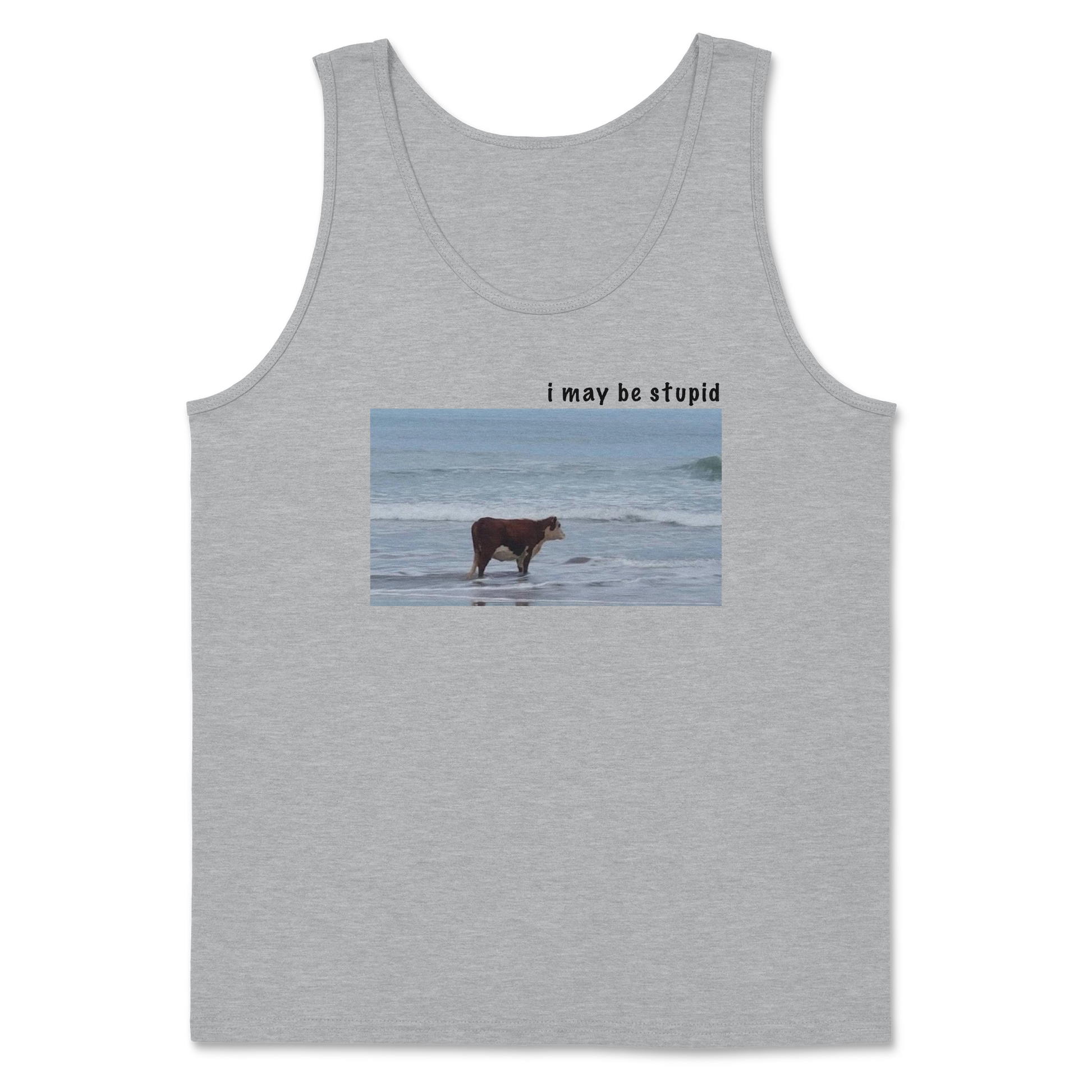 Heavy Blend Tank Top Stupid in Sports Grey