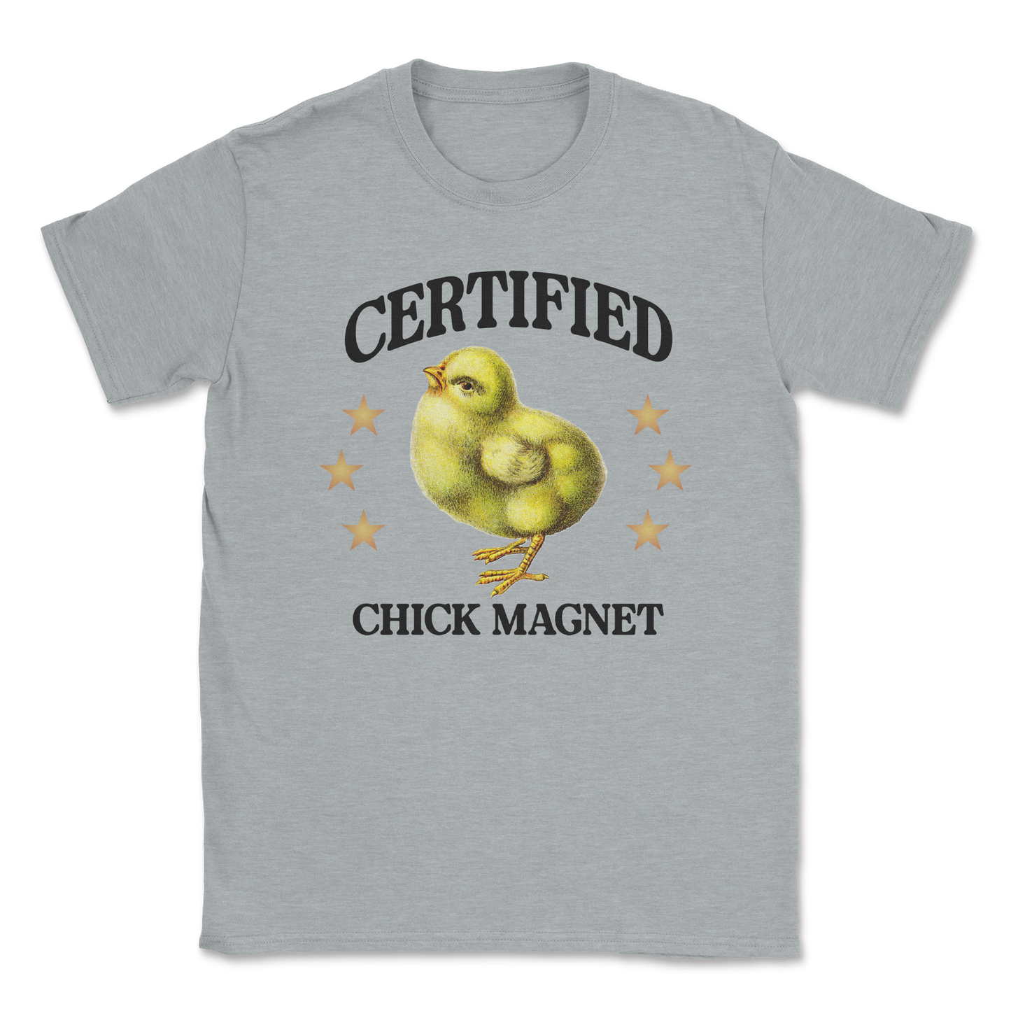 Heavy Blend T-Shirt Chick Magnet in Sports Grey