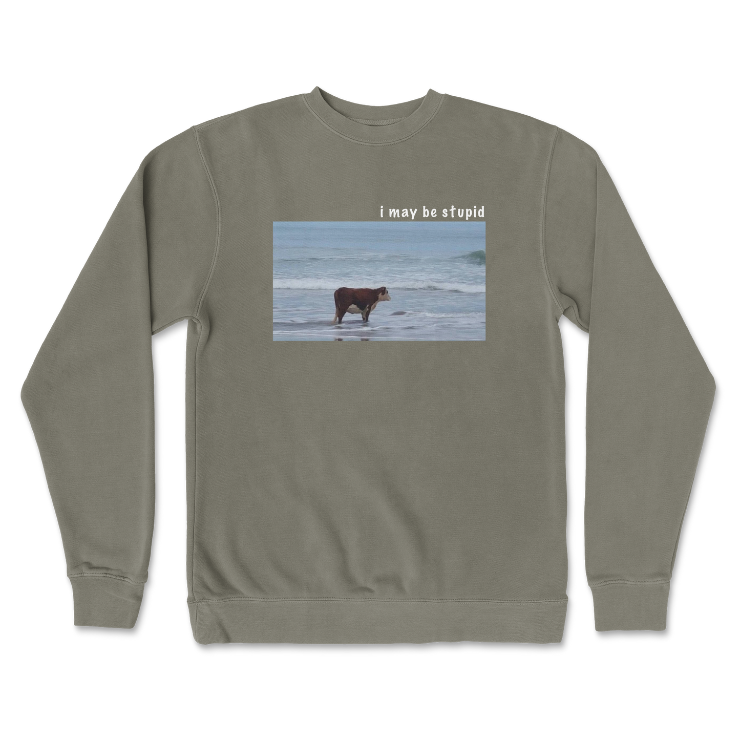 Independent Clothing Co. Crew Neck Stupid in Army