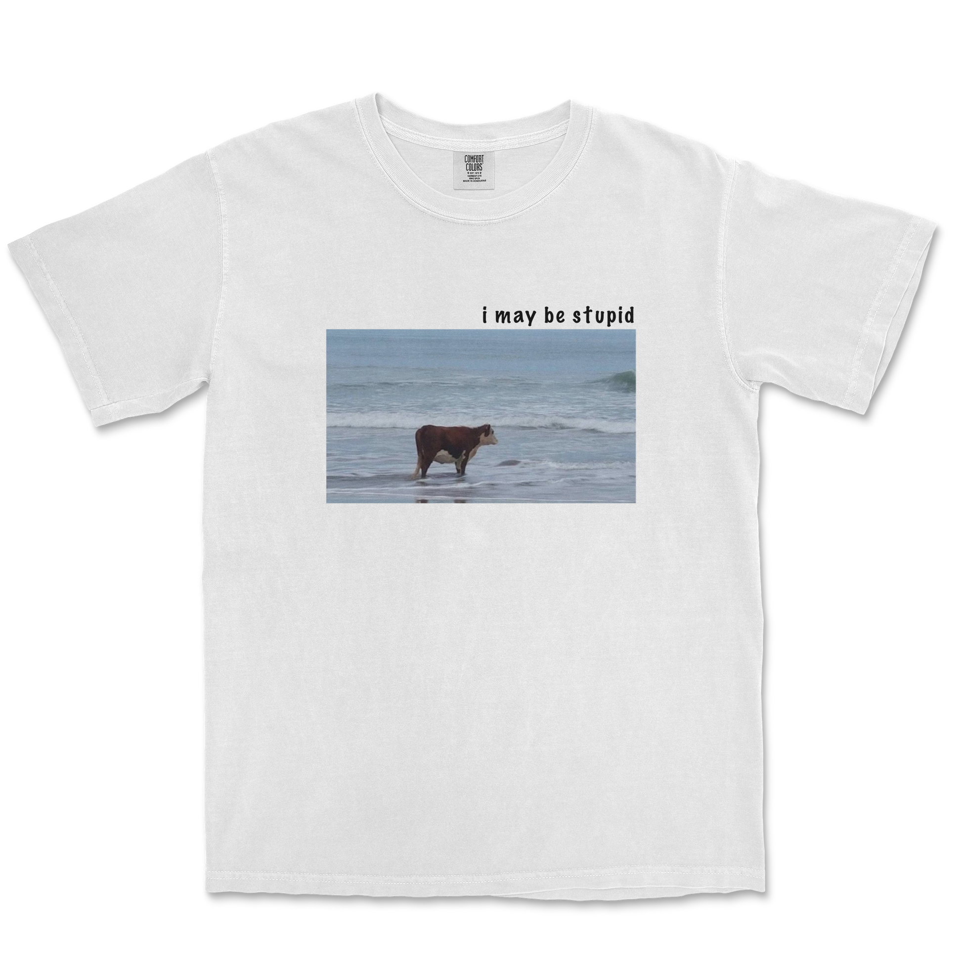 Comfort Colors T-Shirt Stupid in White