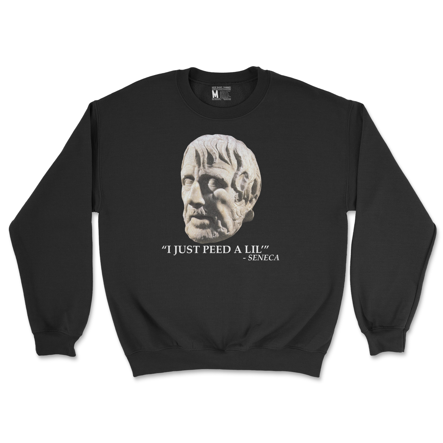 Gildan SoftStyle Crew Neck Seneca Pee in Black