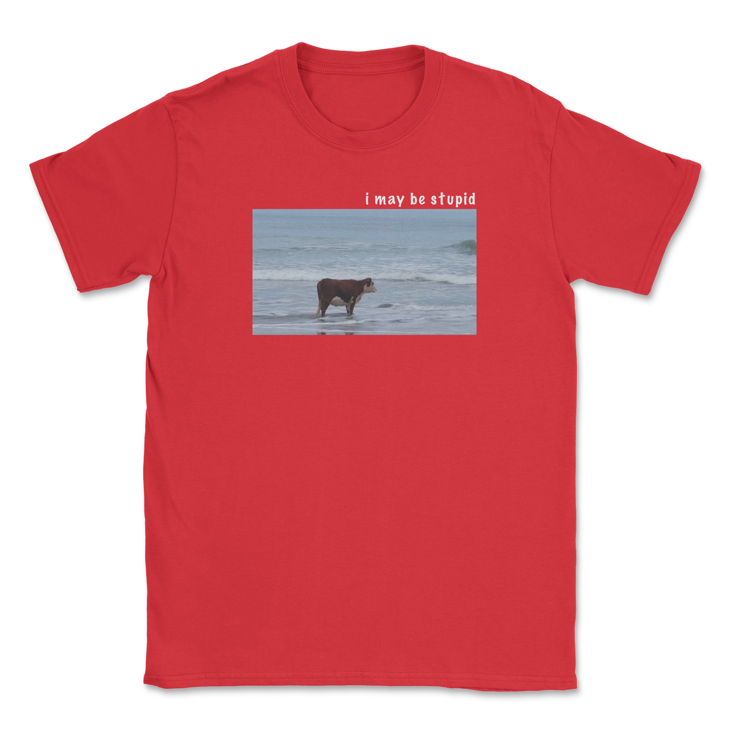 Heavy Blend T-Shirt Stupid in Red