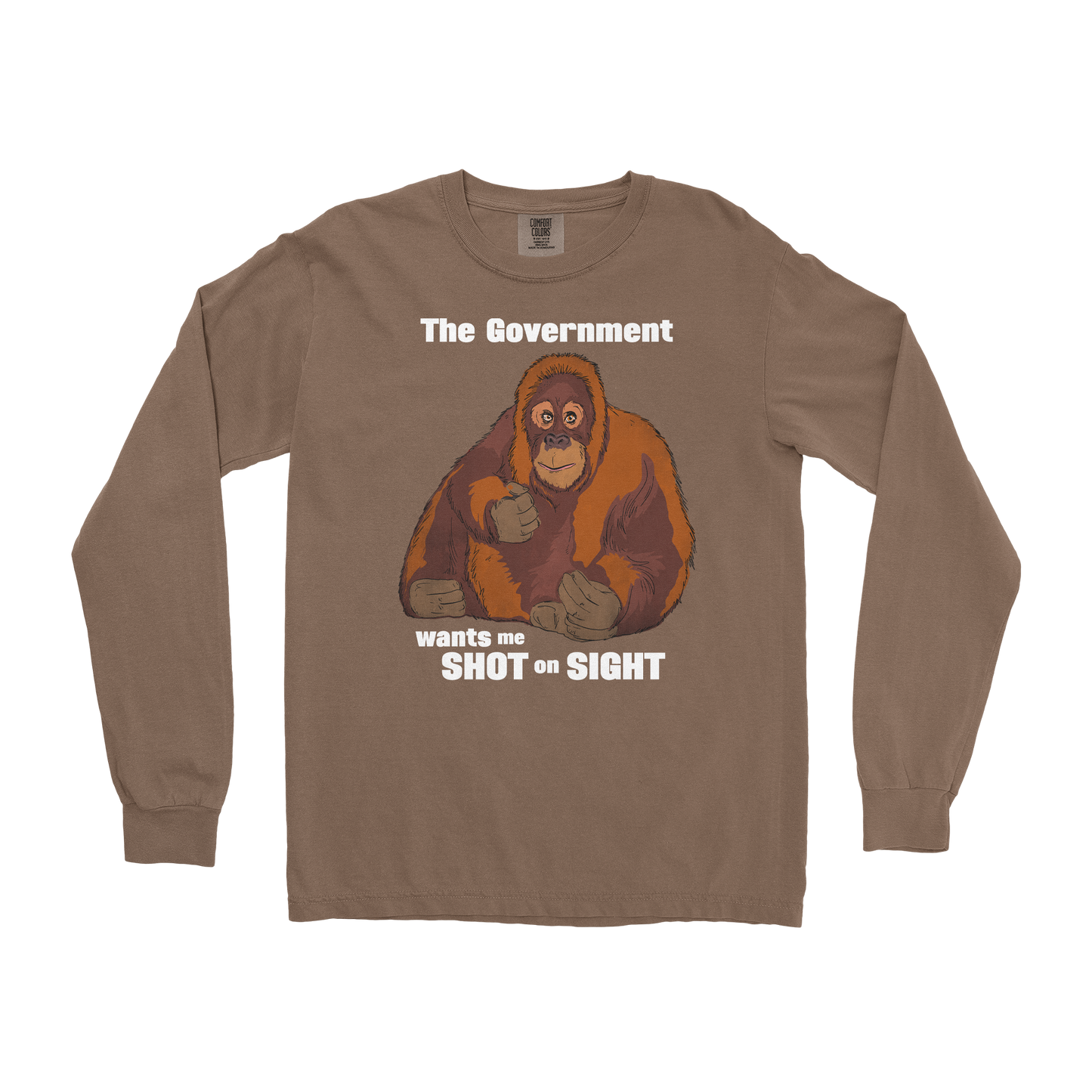 Comfort Colors Long Sleeve The Government Hates Me in Espresso
