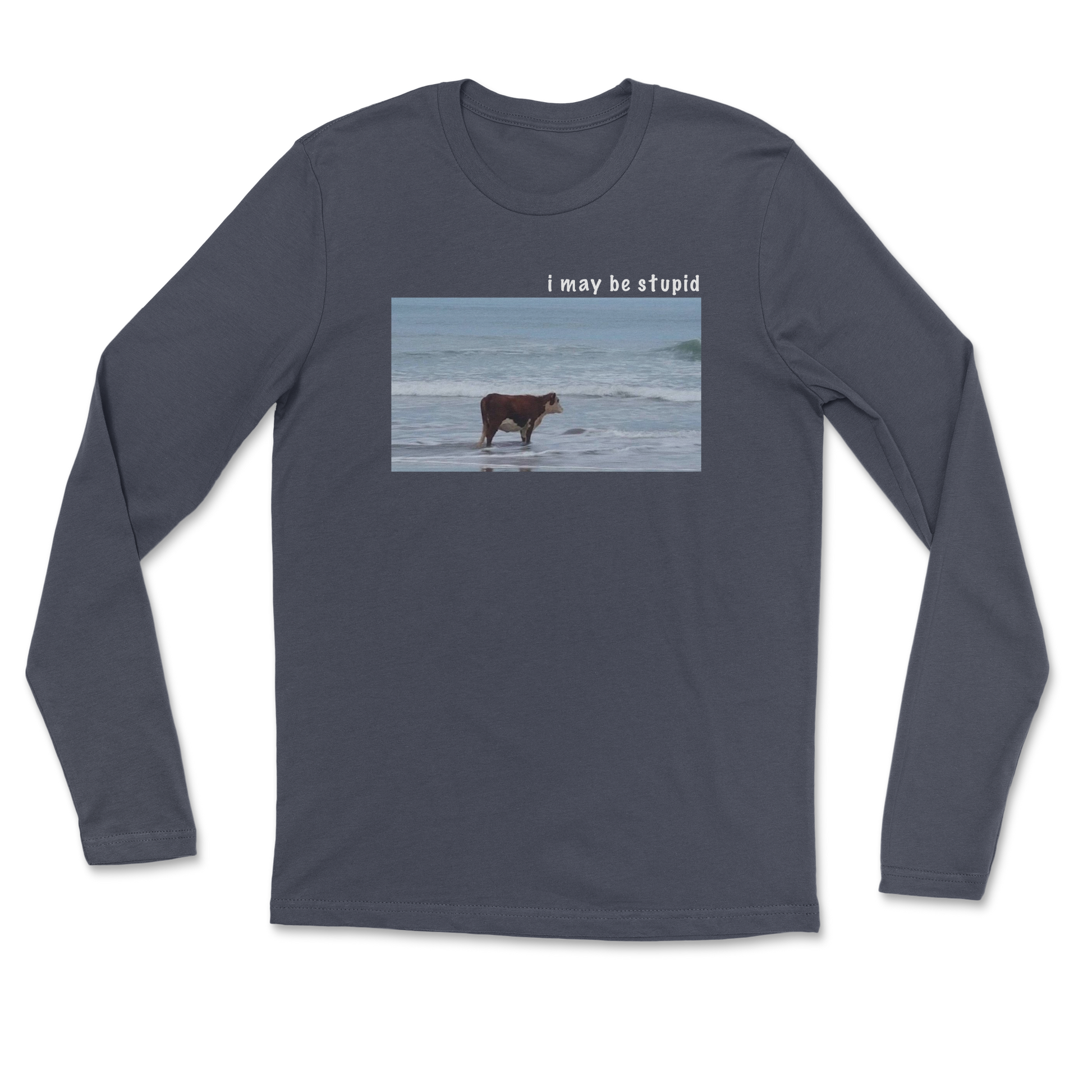 Heavy Blend Long Sleeve Stupid in Navy