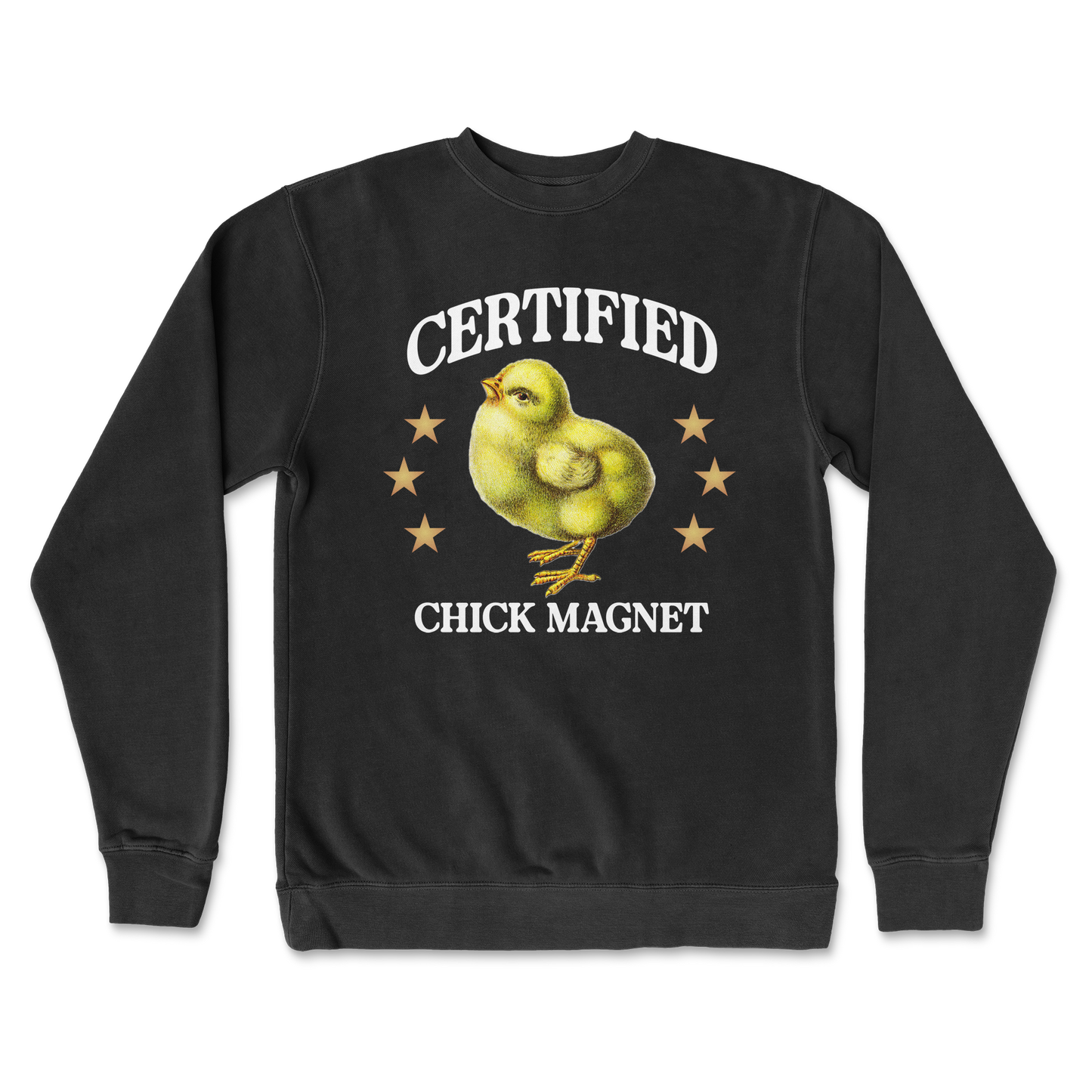 Independent Clothing Co. Crew Neck Chick Magnet in Black