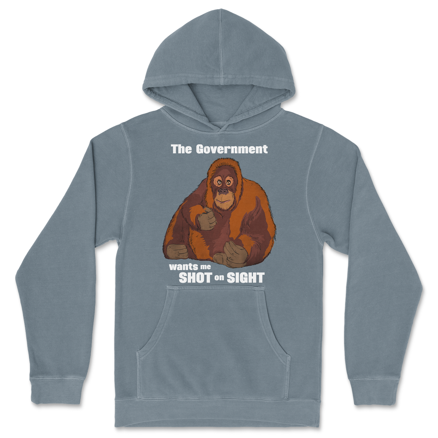 Independent Clothing Co. Hoodie The Government Hates Me in Blue-Magic