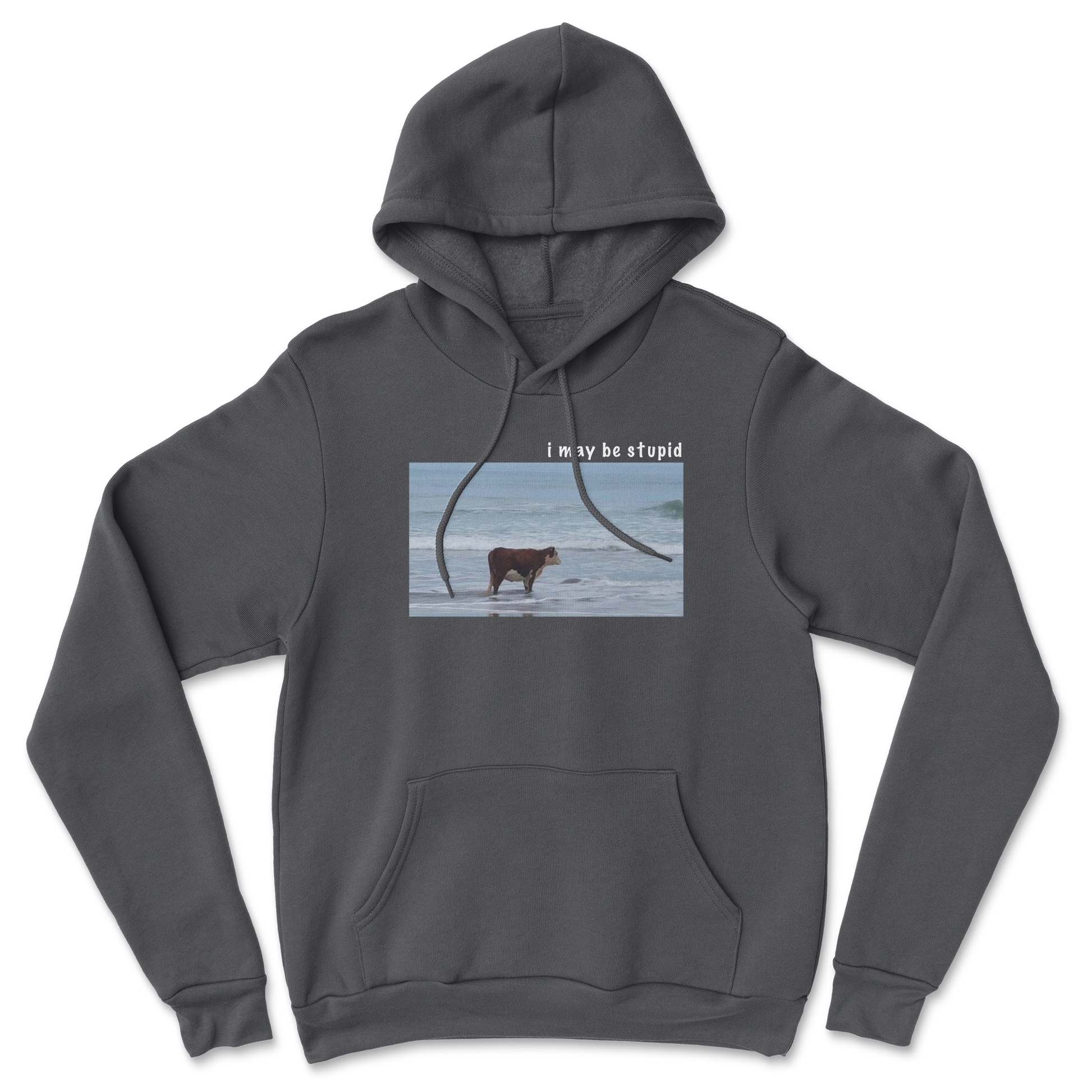 Heavy Blend Hoodie Stupid in Black