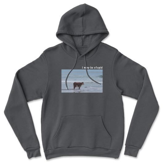 Heavy Blend Hoodie Stupid in Black