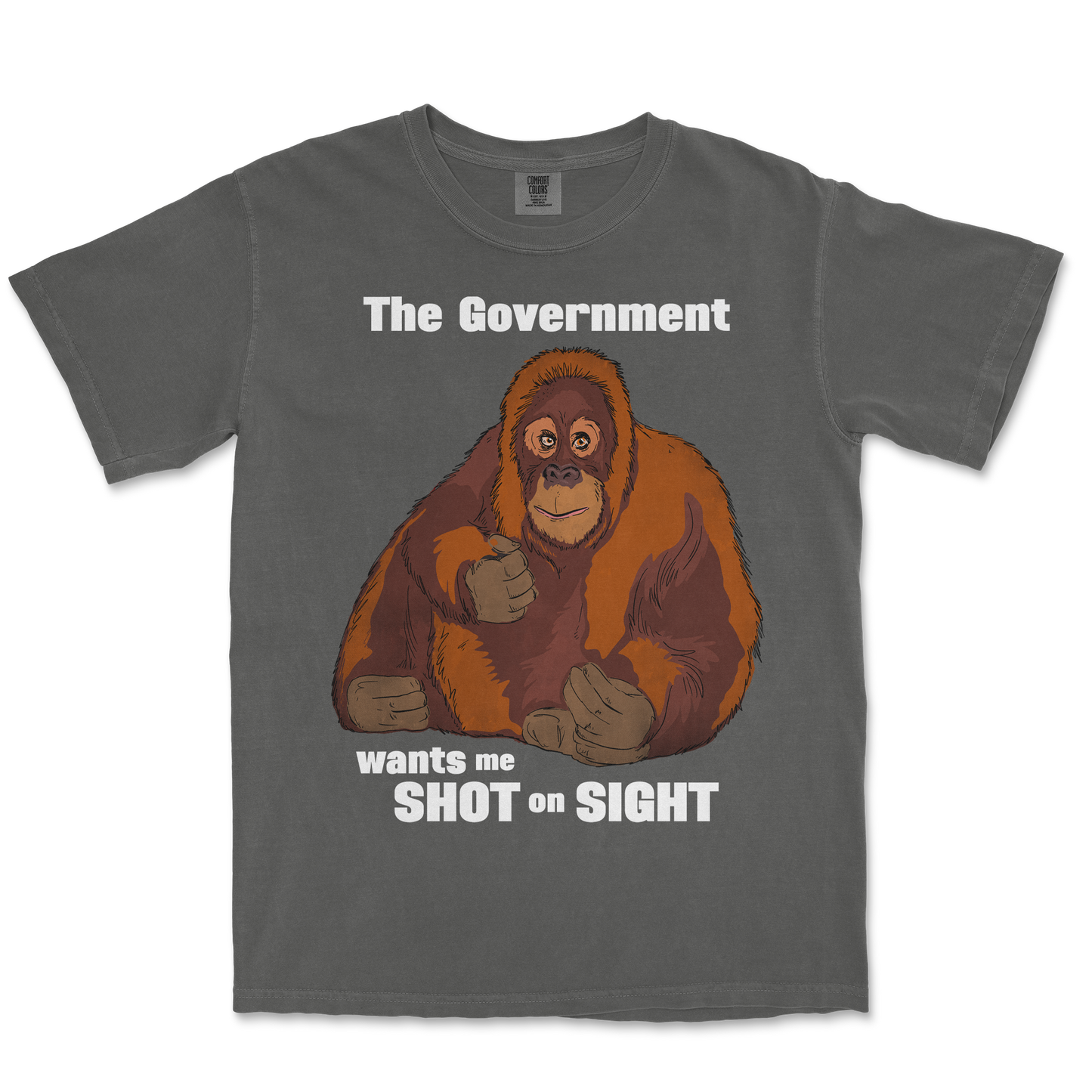 Comfort Colors T-Shirt The Government Hates Me in Pepper