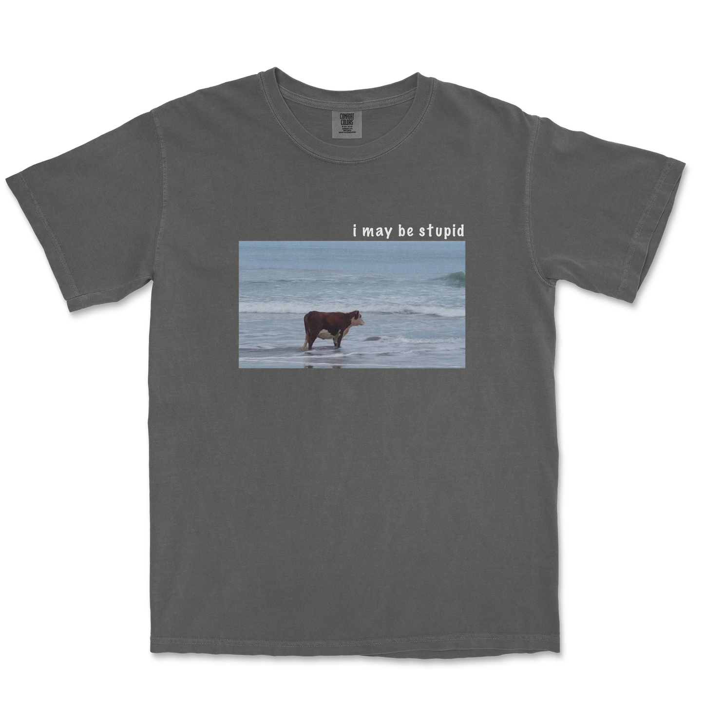 Comfort Colors T-Shirt Stupid in Pepper