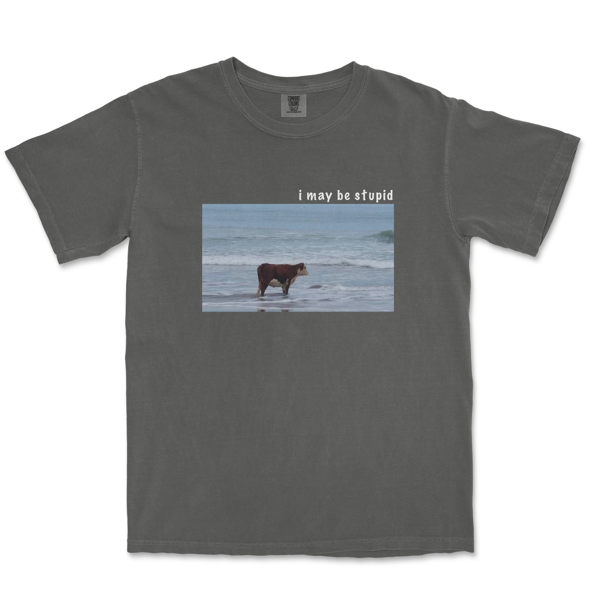 Comfort Colors T-Shirt Stupid in Pepper