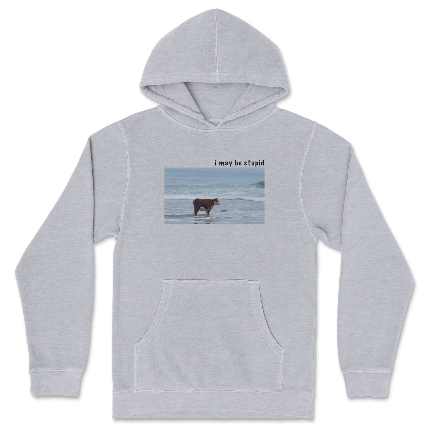 Independent Clothing Co. Hoodie Stupid in Grey Heather