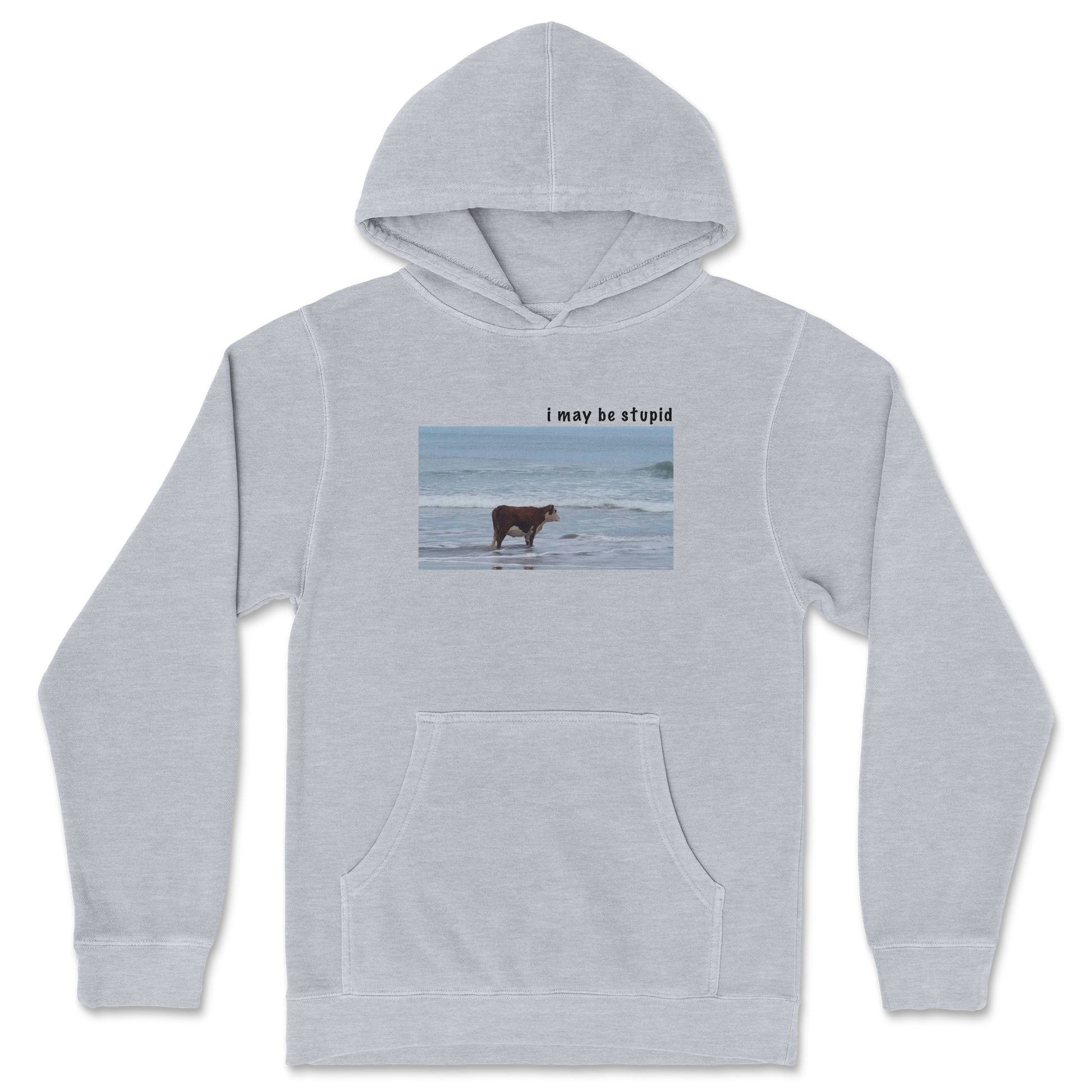 Independent Clothing Co. Hoodie Stupid in Grey Heather