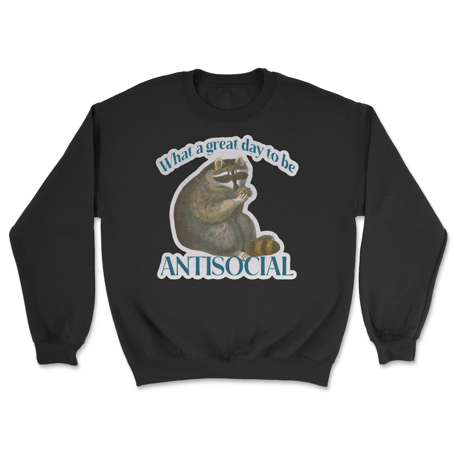 Heavy Blend Crew Neck Antisocial in Black