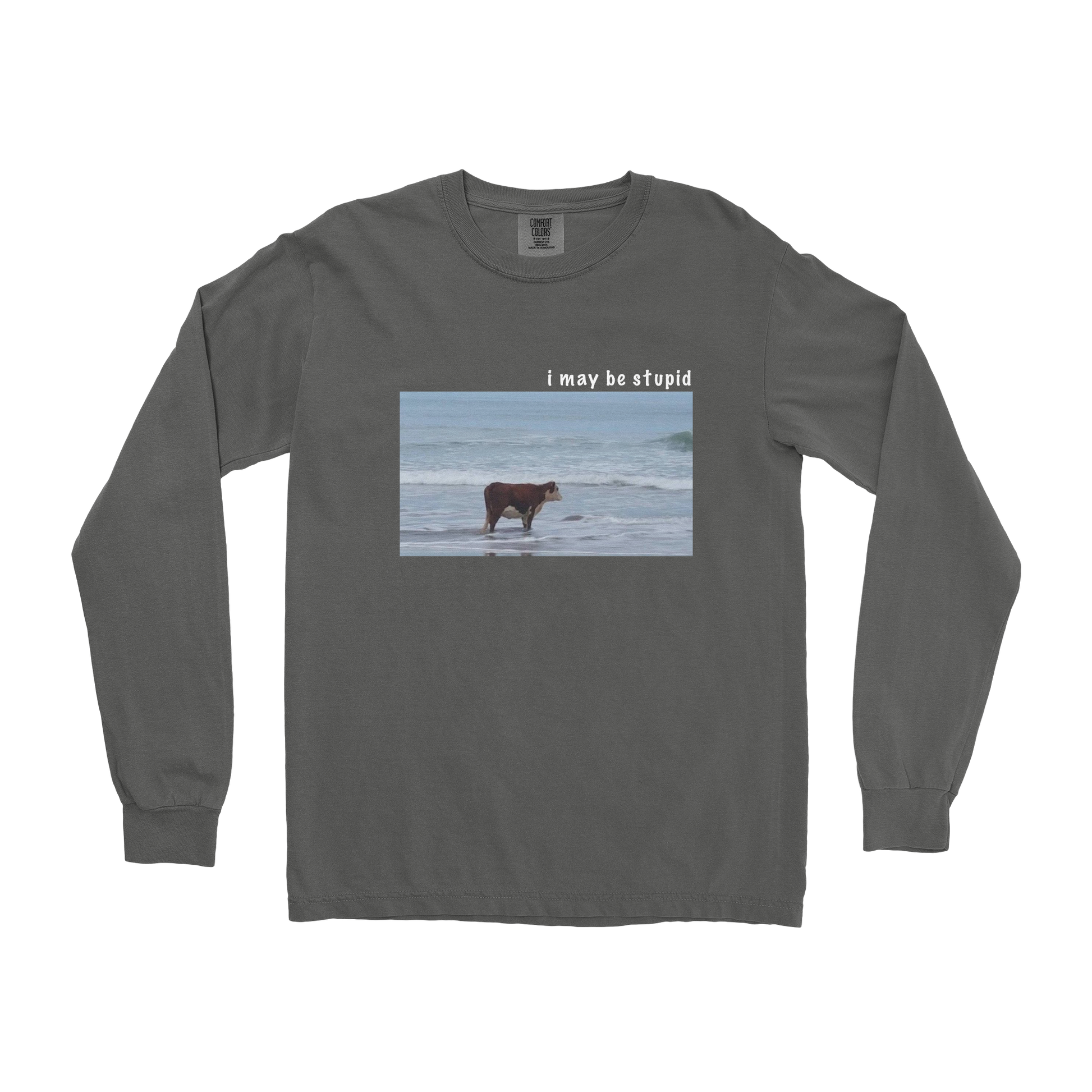 Comfort Colors Long Sleeve Stupid in Pepper