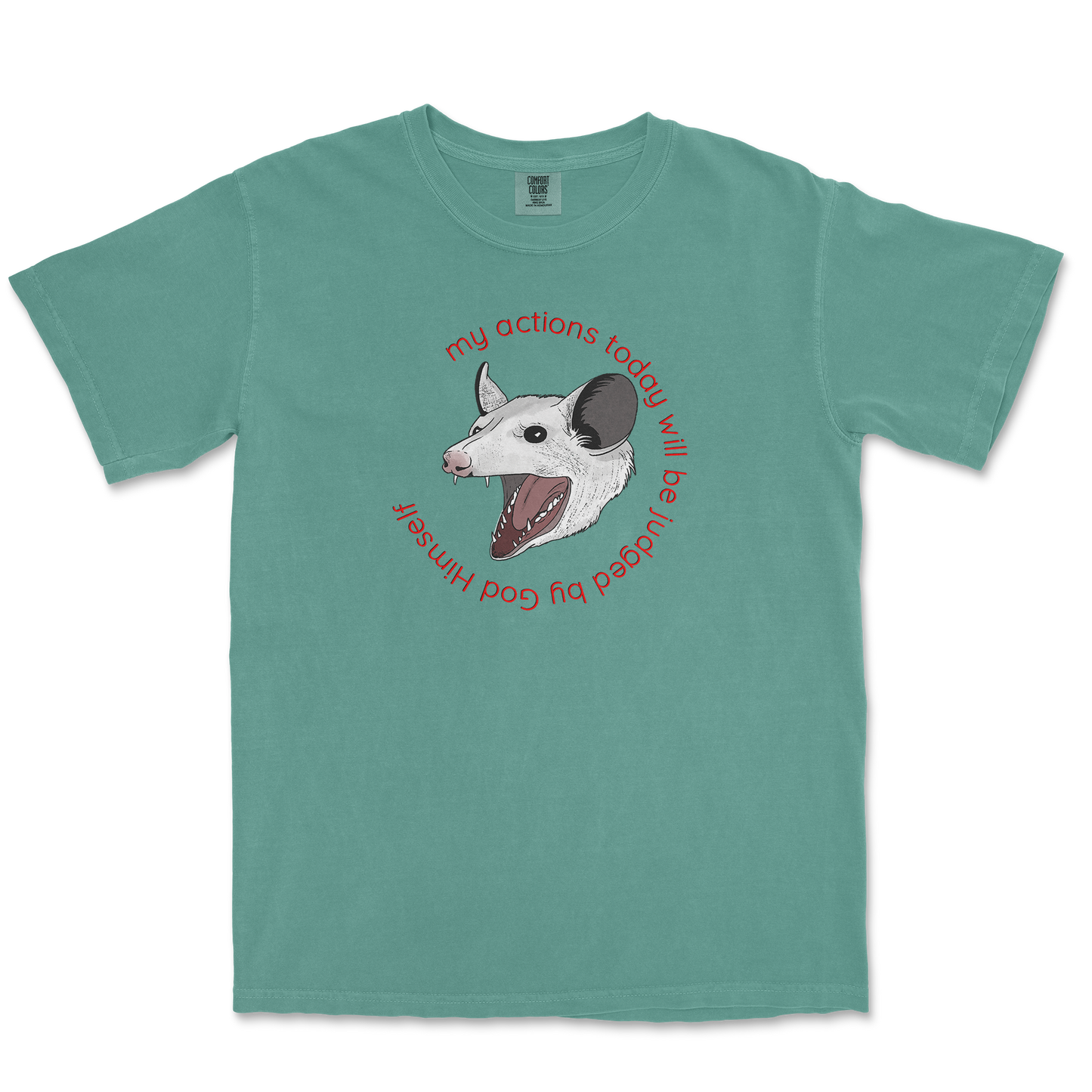 Comfort Colors T-Shirt in LightGreen