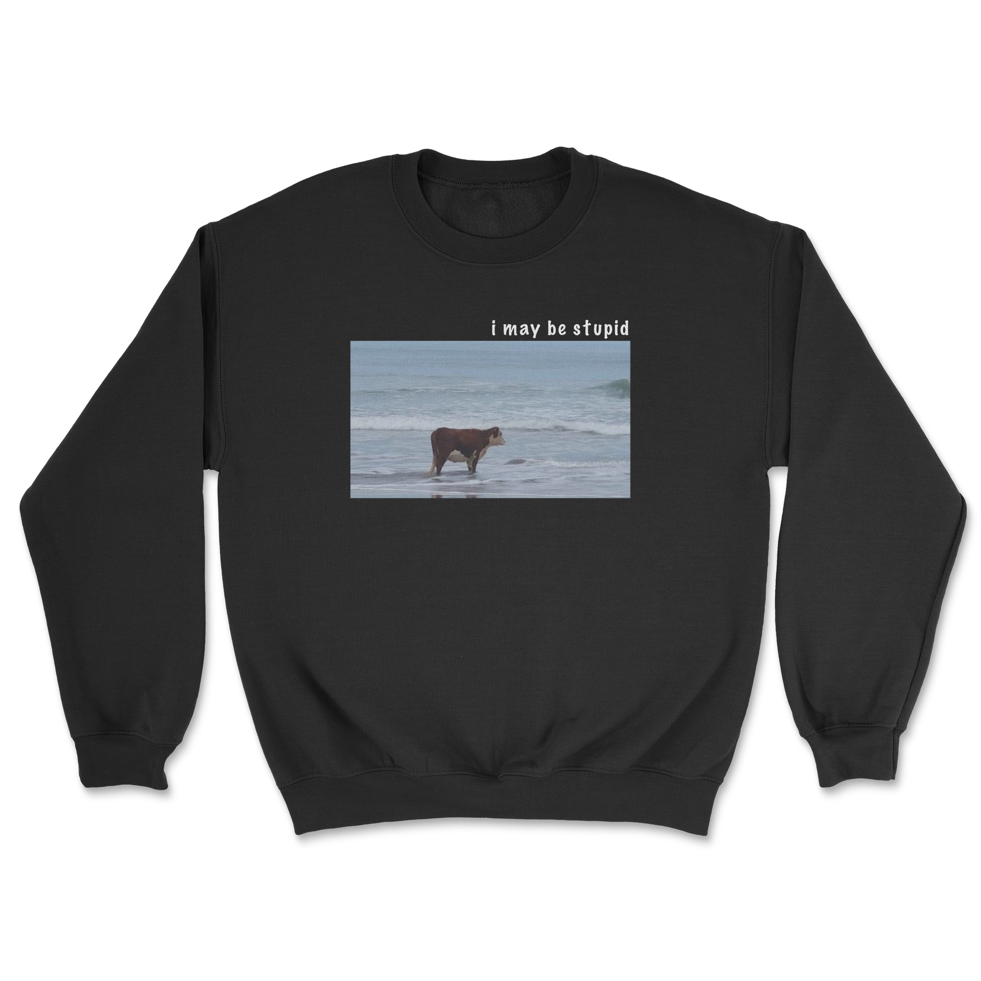 Heavy Blend Crew Neck Stupid in Black