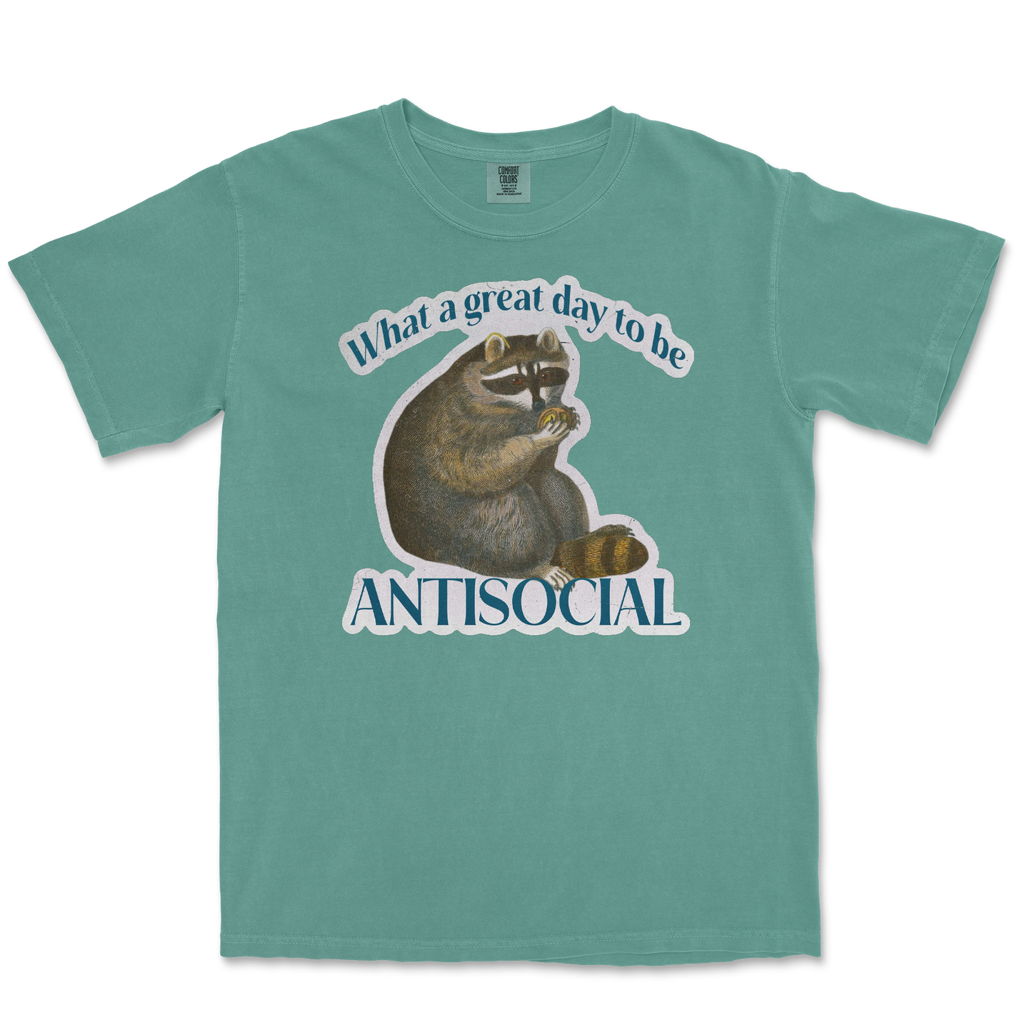 Comfort Colors T-Shirt Antisocial in Light Green
