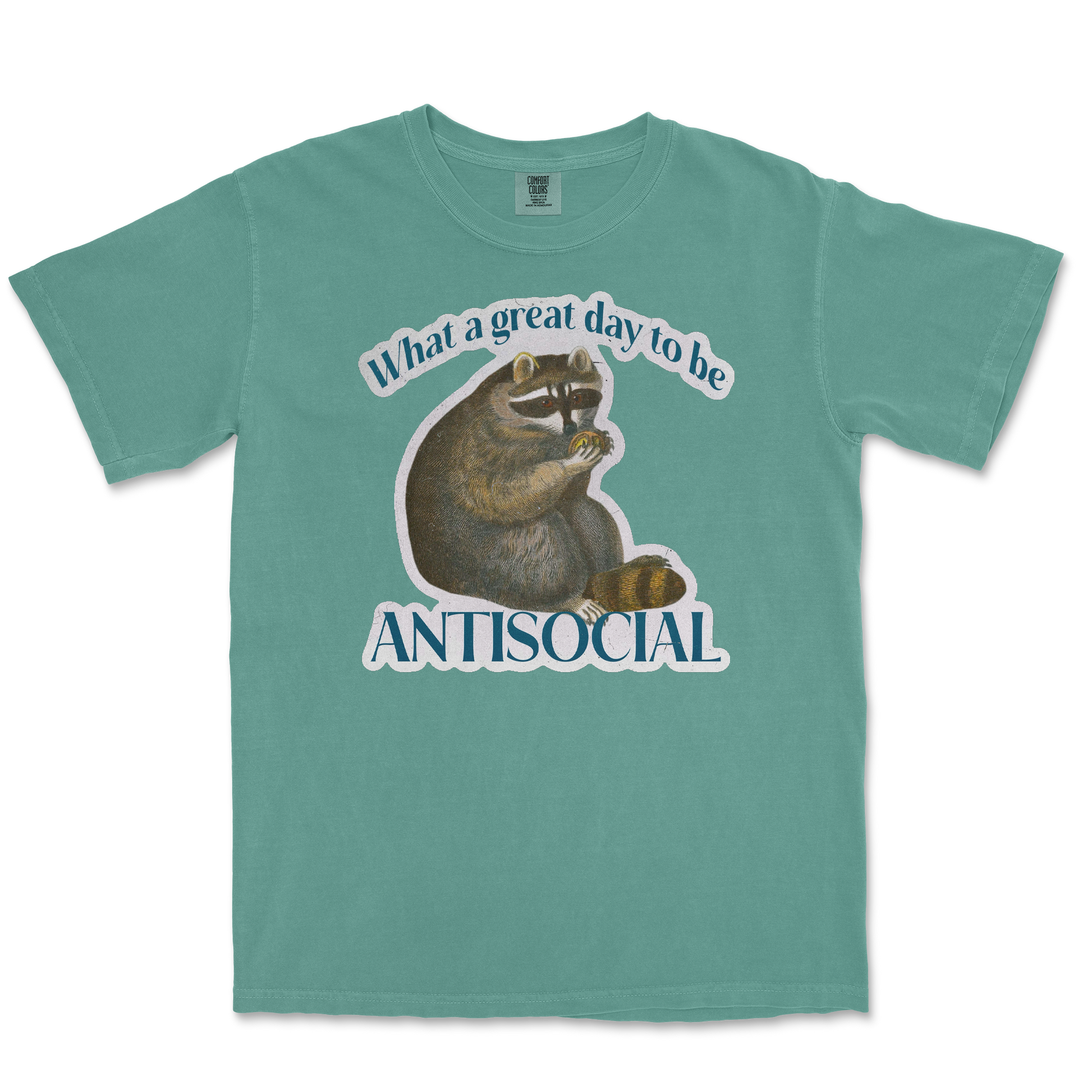 Comfort Colors T-Shirt Antisocial in Light Green