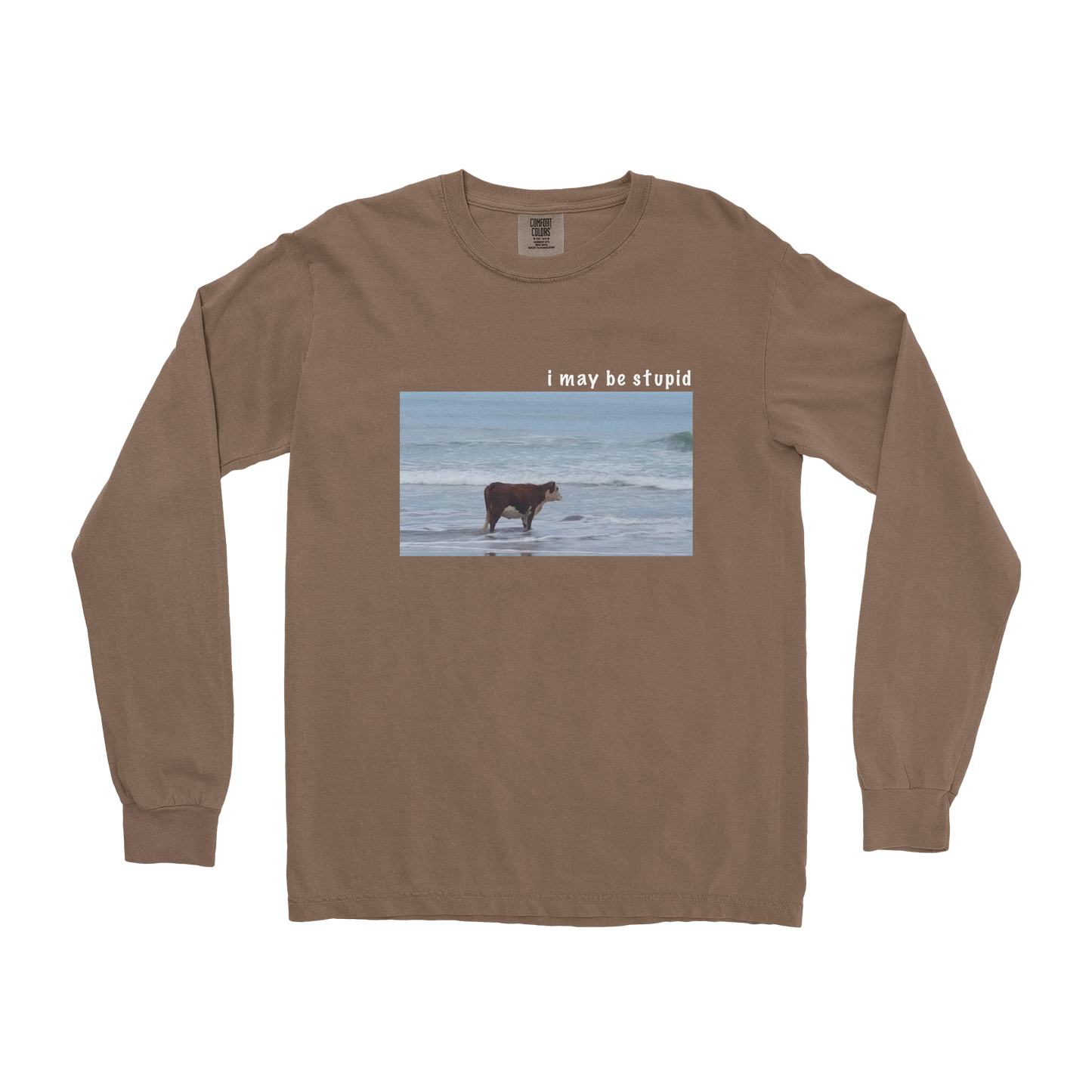Comfort Colors Long Sleeve Stupid in Espresso