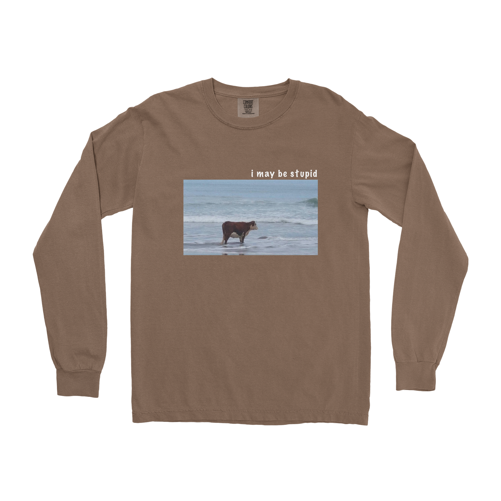 Comfort Colors Long Sleeve Stupid in Espresso
