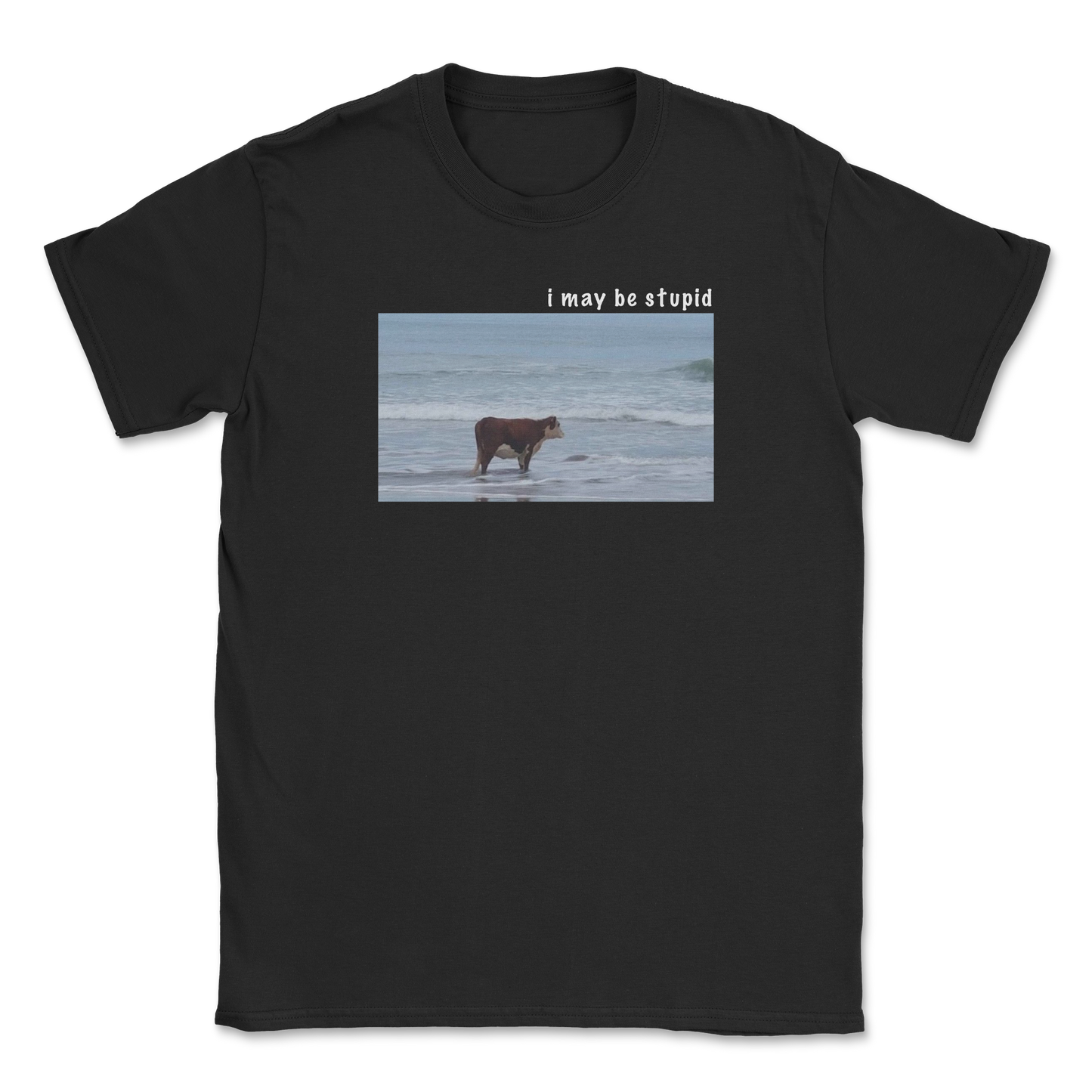 Heavy Blend T-Shirt Stupid in Black