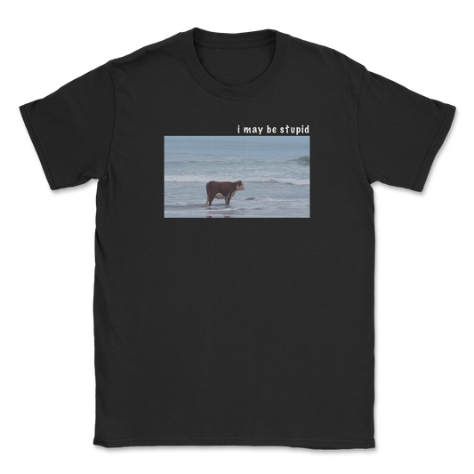 Heavy Blend T-Shirt Stupid in Black