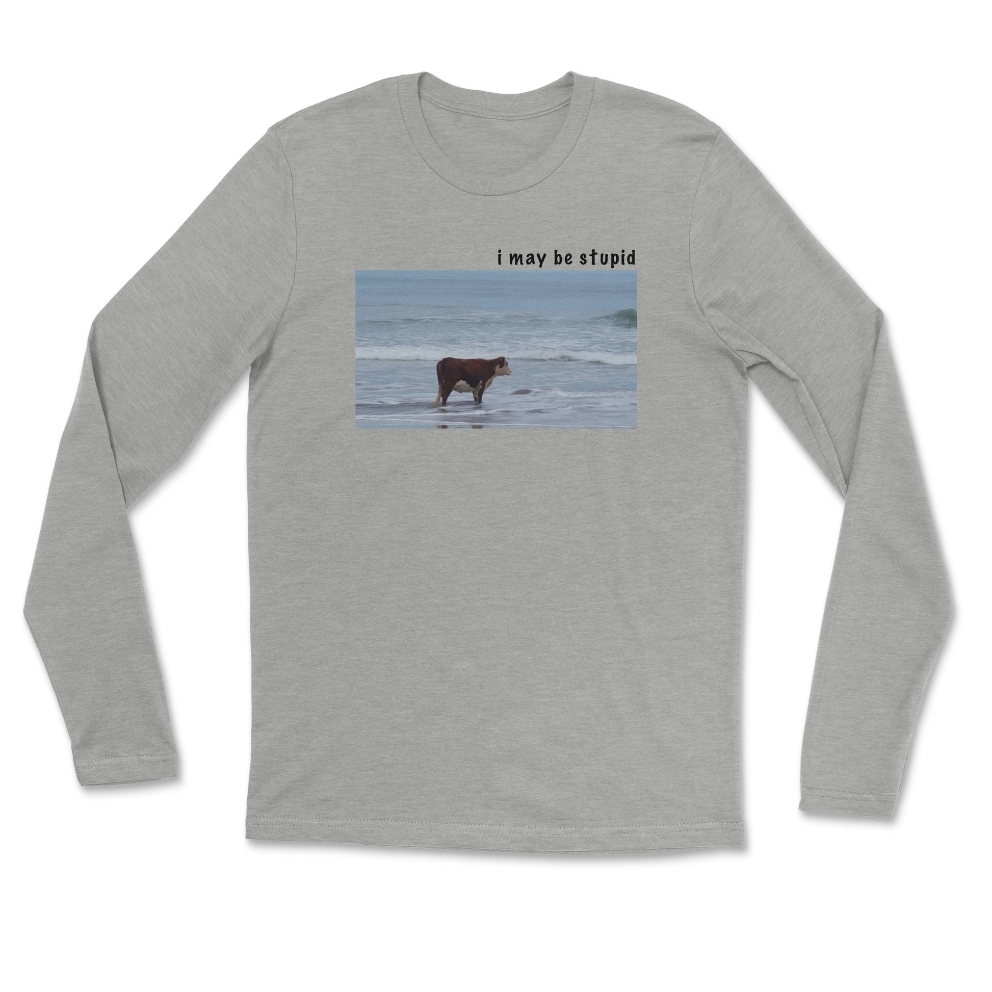 Heavy Blend Long Sleeve Stupid in Grey Heather