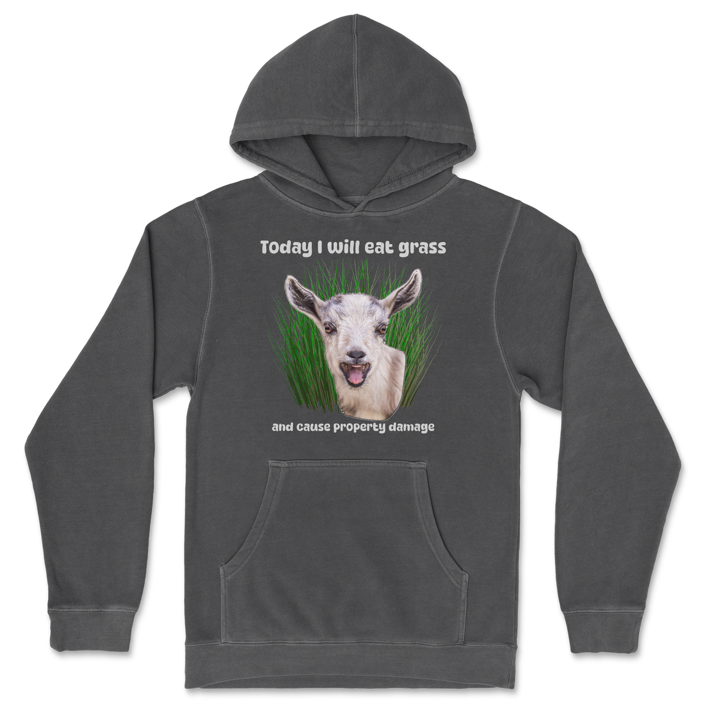 Independent Clothing Co. Hoodie Crazy Goat in Black
