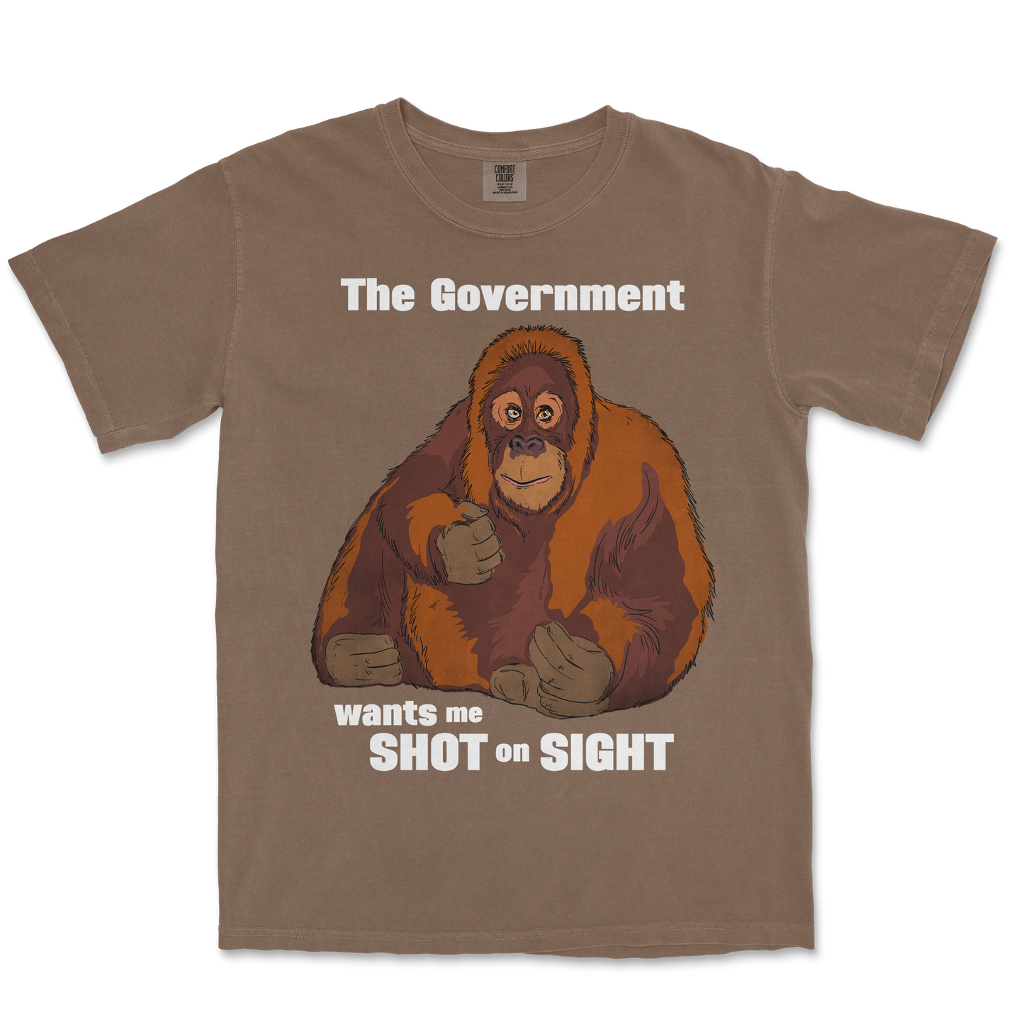 Comfort Colors T-Shirt The Government Hates Me in Espresso