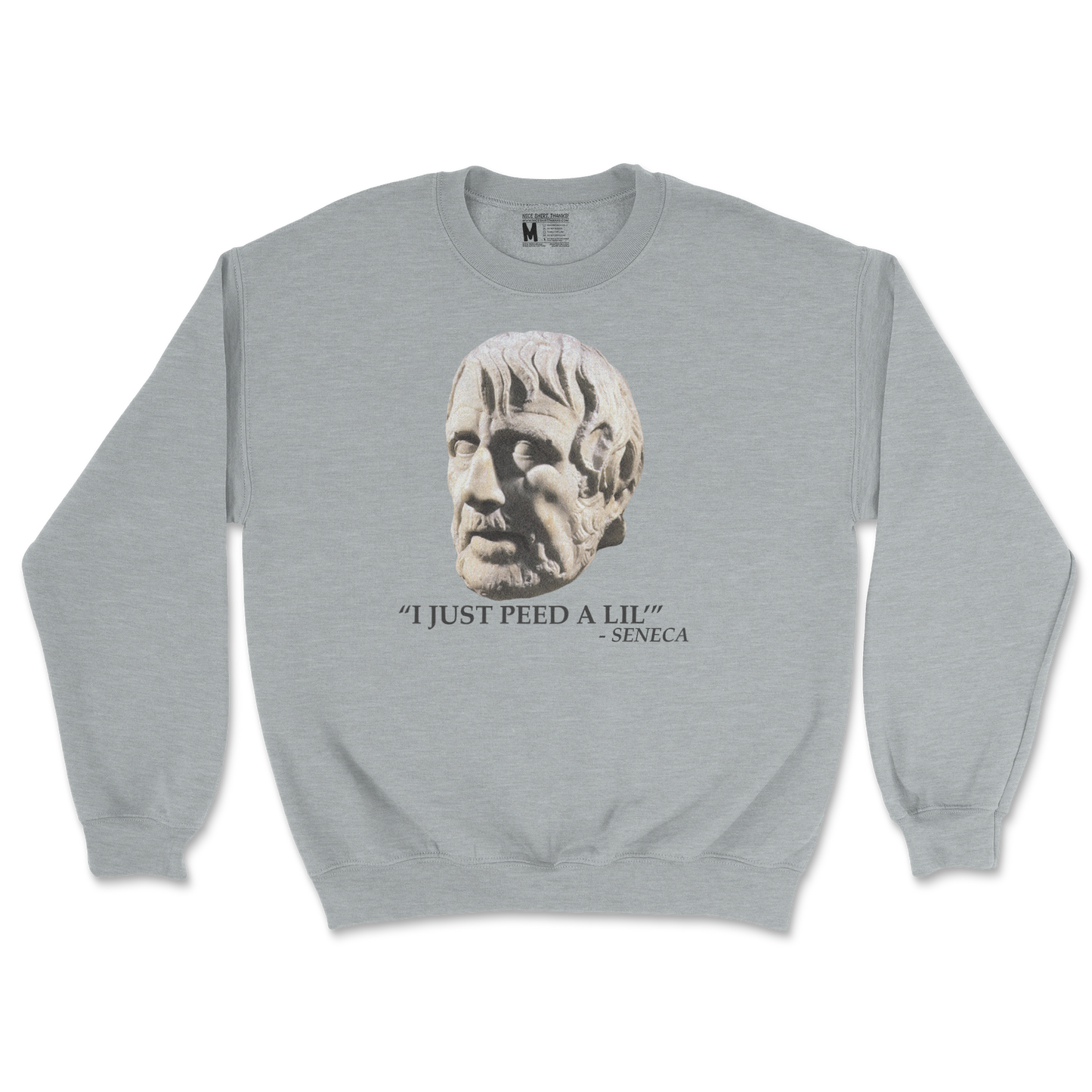 Gildan SoftStyle Crew Neck Seneca Pee in Sports Grey