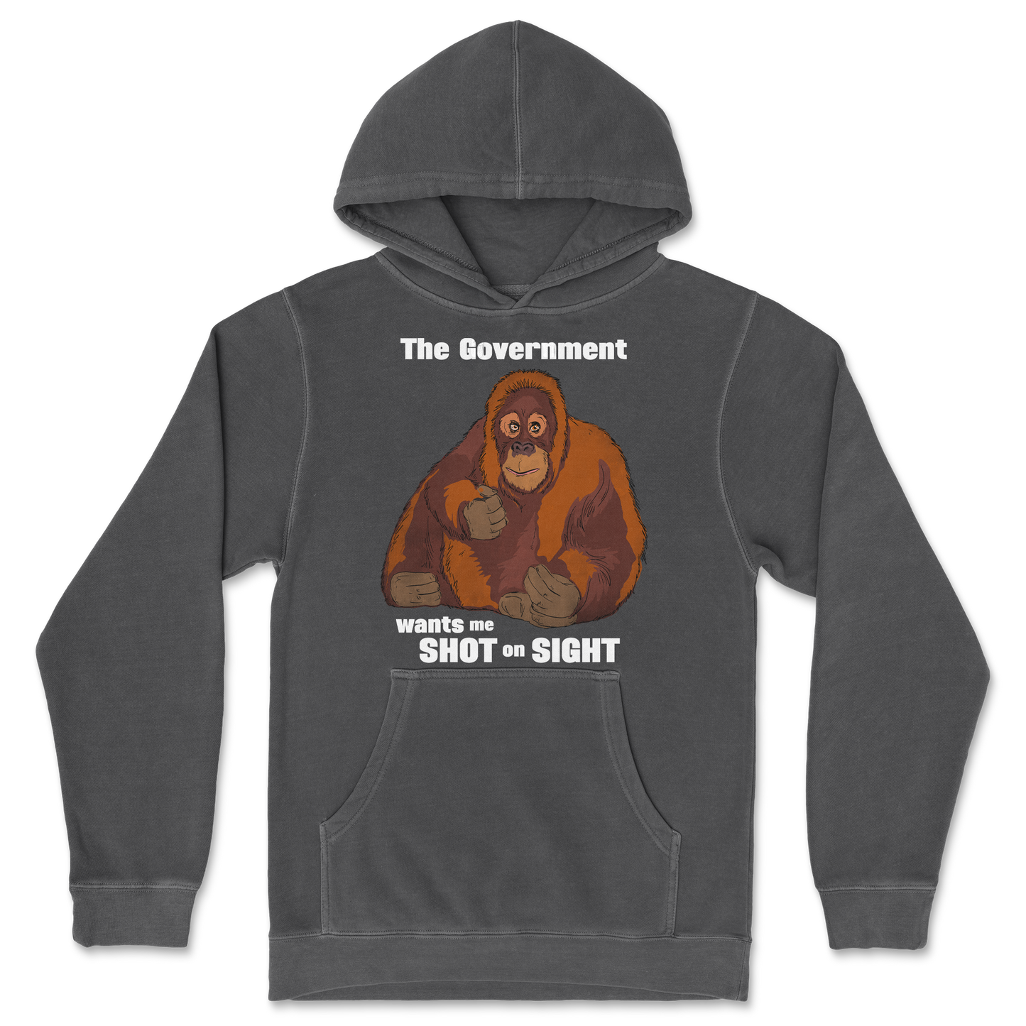 Independent Clothing Co. Hoodie The Government Hates Me in Black