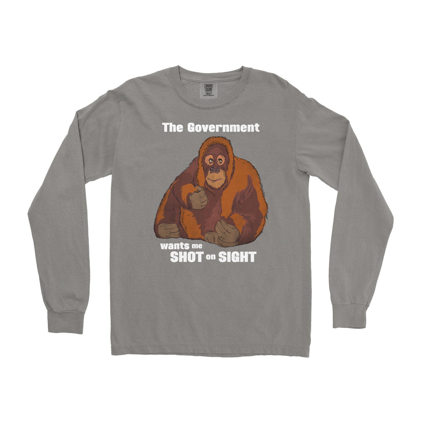 Comfort Colors Long Sleeve The Government Hates Me in Grey
