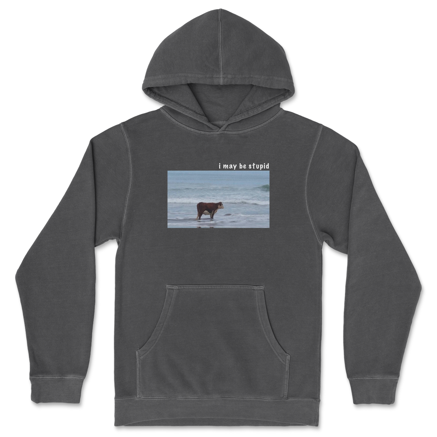 Independent Clothing Co. Hoodie Stupid in Black