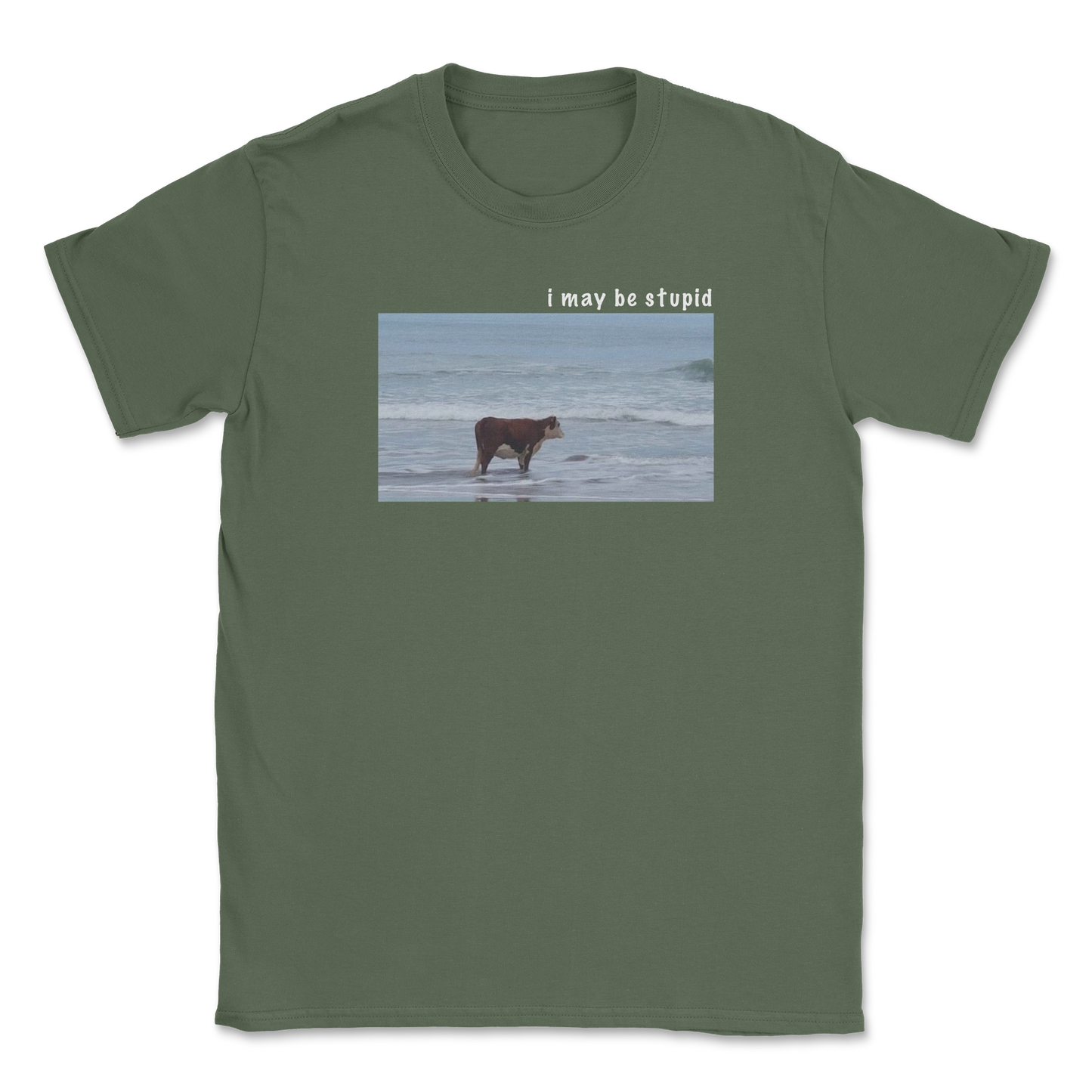 Heavy Blend T-Shirt Stupid in Military Green