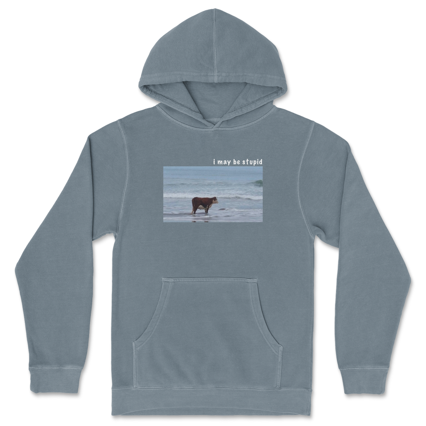 Independent Clothing Co. Hoodie Stupid in Blue Magic