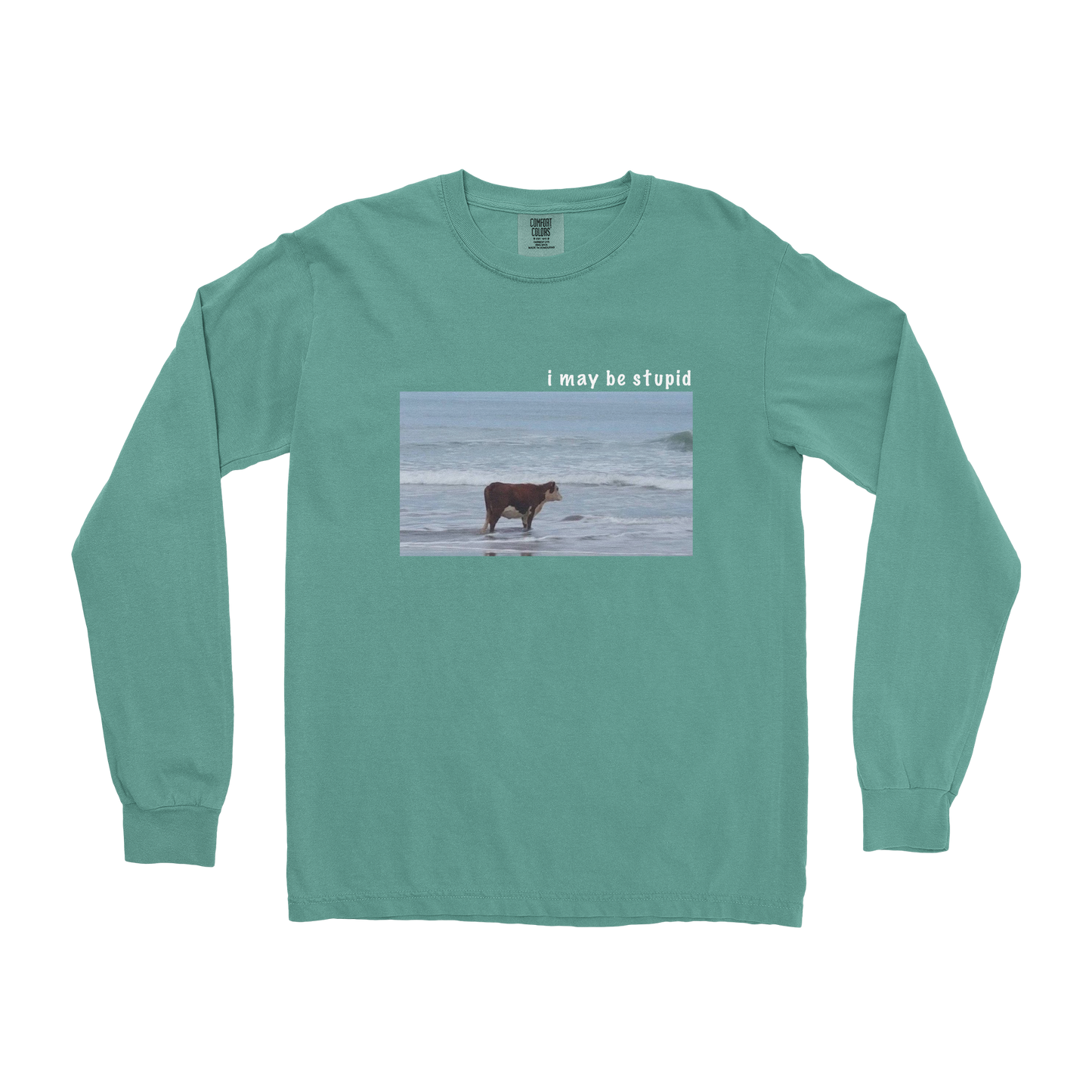 Comfort Colors Long Sleeve Stupid in Light Green