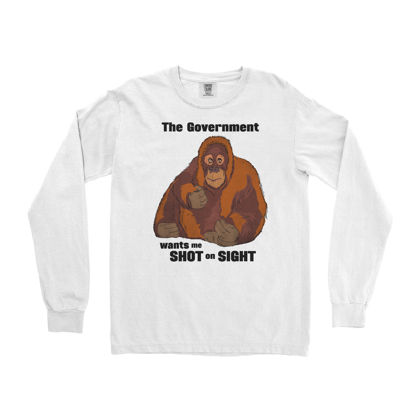 Comfort Colors Long Sleeve The Government Hates Me in White