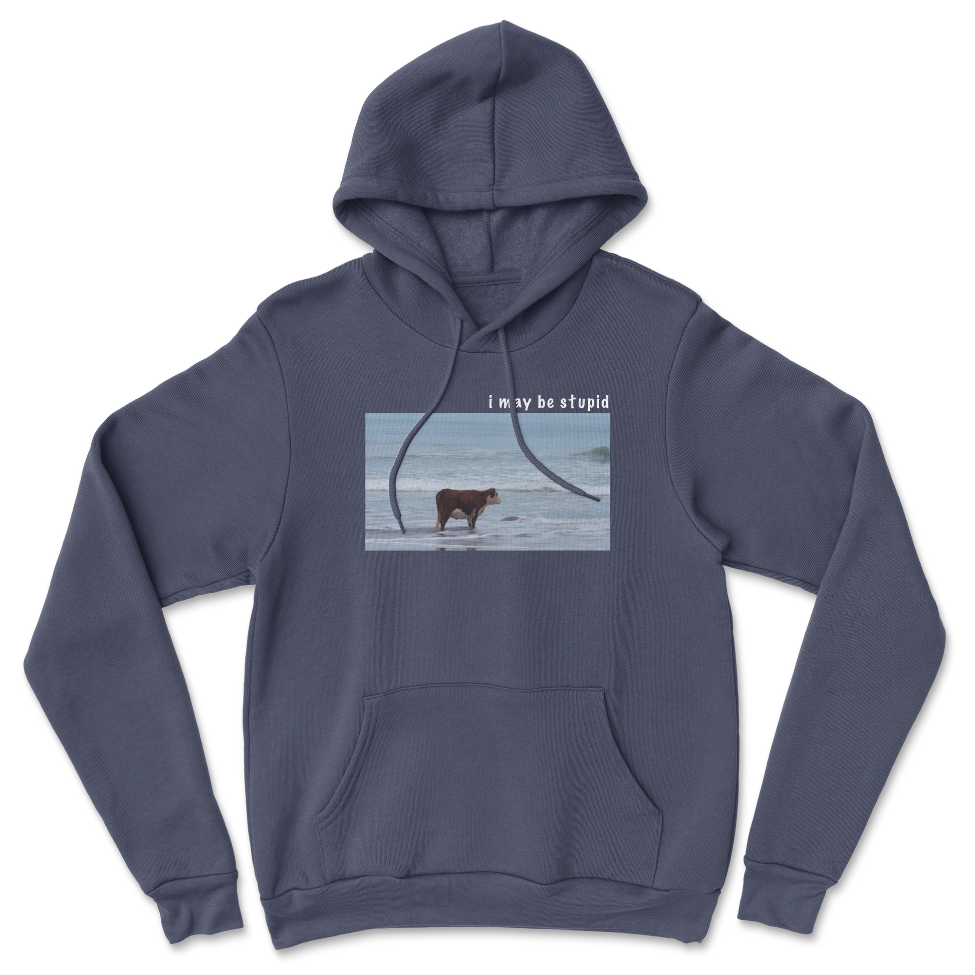 Heavy Blend Hoodie Stupid in Navy