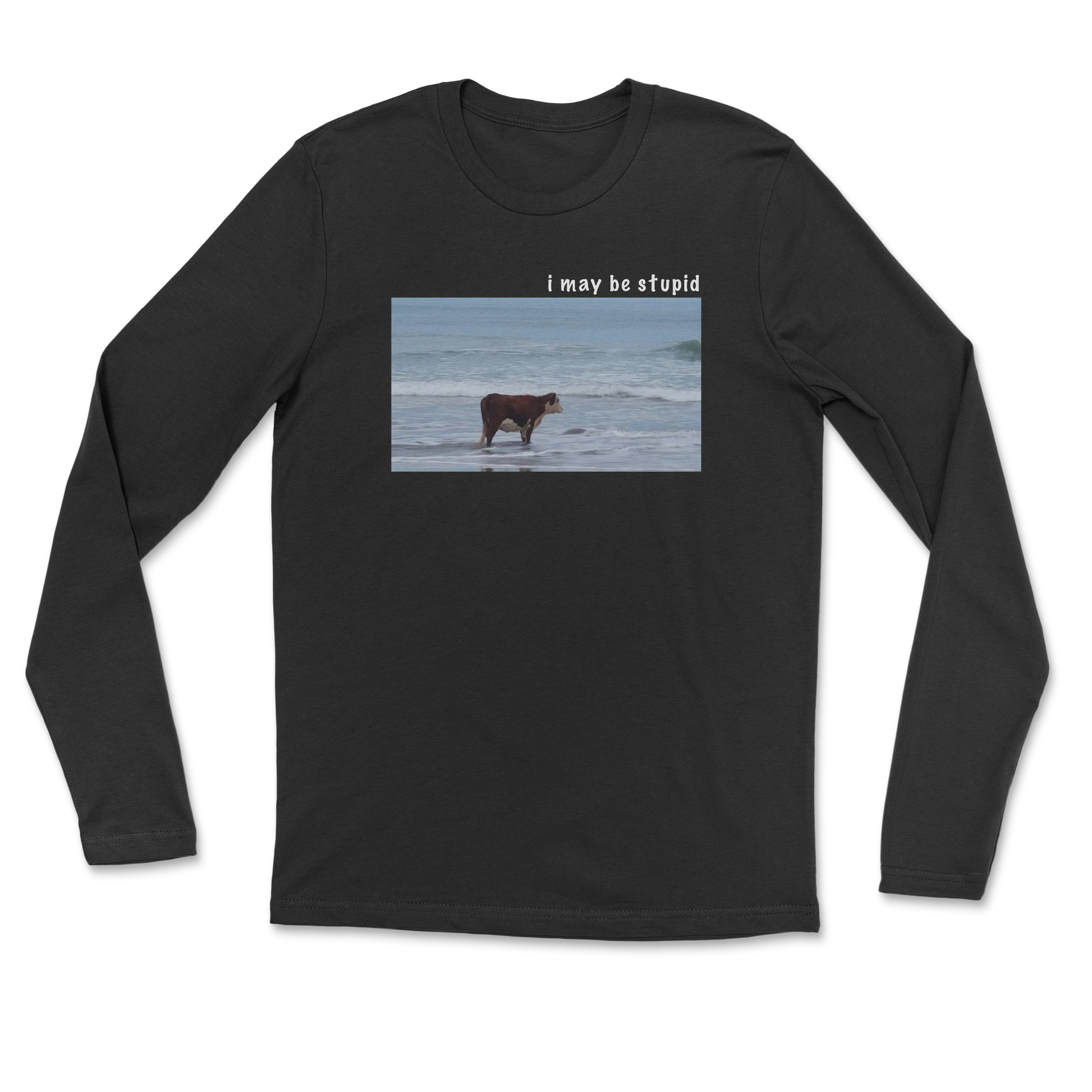Heavy Blend Long Sleeve Stupid in Black